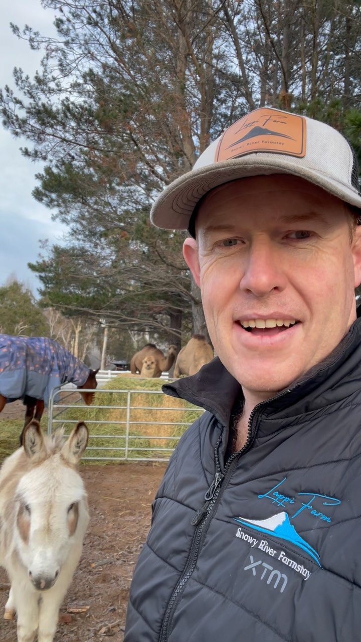 We’ve got a winter weekend available! This rare gem won’t last so jump on and book it if you are keen for a quick winter escape to the Snowies!
#lappifarm #farmstay #petfriendly #snowymountainsnsw #cabinlife #sydneyweekend #canberraweekend #destinationjindabyne #farmexperience