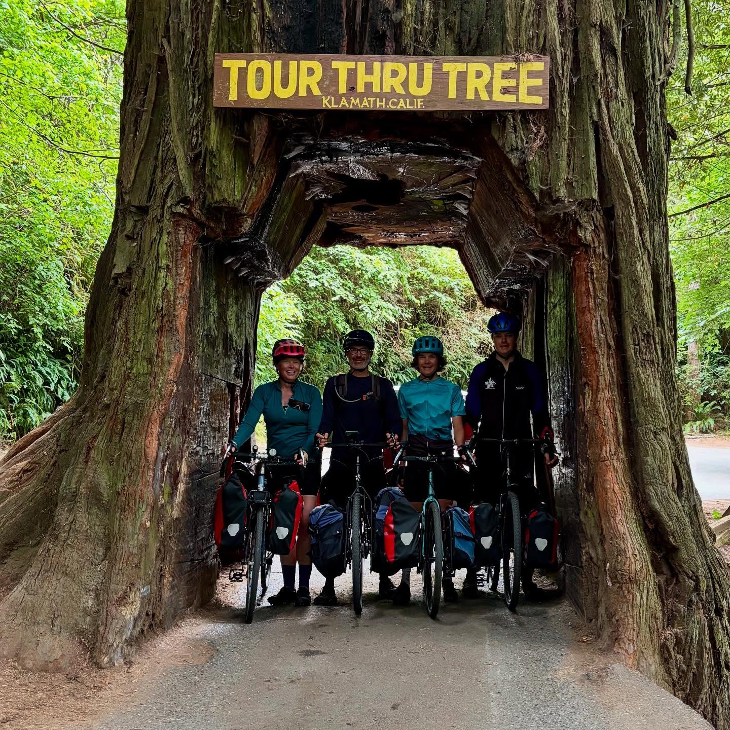 California! We spent the day dwarfed by ancient redwoods. Some of these trees are so massive, all four of us could ride through them — literally. Definitely one for the bucket list :)
#california #pacificcoastbikeroute #redwoods #bikepacking #biketouring