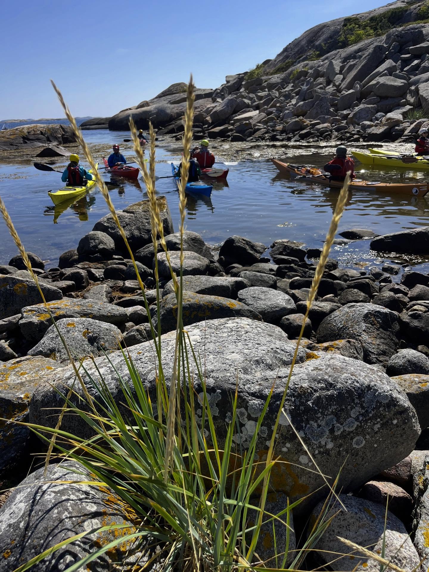 Igår hade vi en fullbokatd ”Boat Handling Funday” Idag är det privatlektioner och Fikatur. I Morgon kan du vara med på Gult paddelpass eller Tångpaddling (platser kvar) men ”Rough Water Junkie” är fullbokad. Det märks att sommaren är här!!
