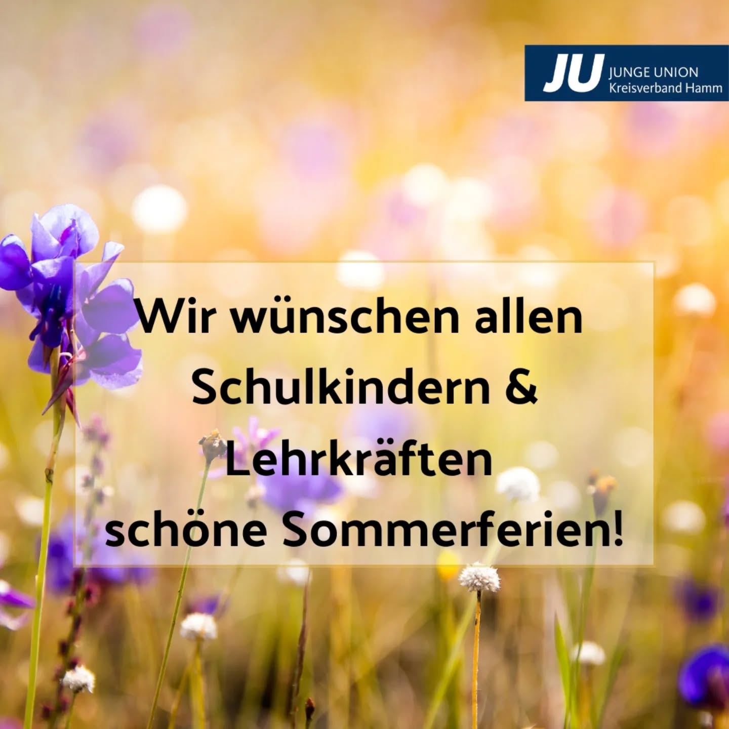 Und wieder ist ein #Schuljahr vorbei - wir wünschen allen eine erholsame #Ferienzeit! ☀️🌈🌻
Wie verbringst du die #Sommerferien?
#jungeunion#juhamm#sommer#cduhamm