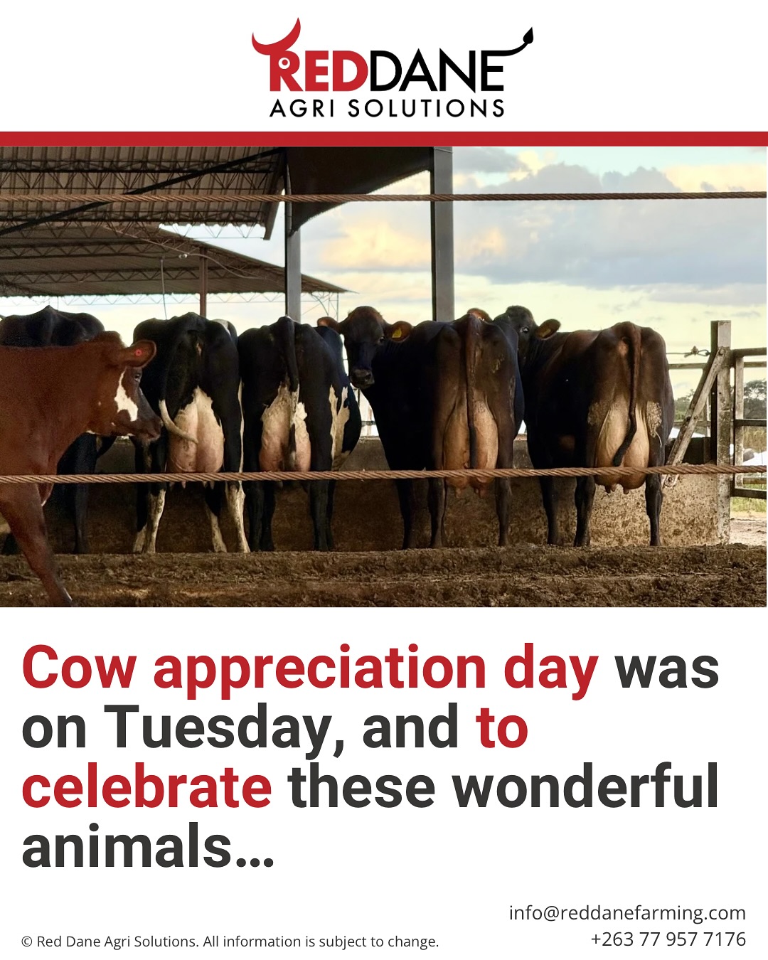 Massive Viking Genetics Semen Sale to celebrate International Cow Appreciation Day!
Limited stocks - get in while you can!
Info@reddanefarming.com
#vikinggenetics #semensale #dairysemen #sexedsemen #conventionalsemen #breeding #dairybreeding #dairytraits #breedingforwhattrulymatters #wearelivestock