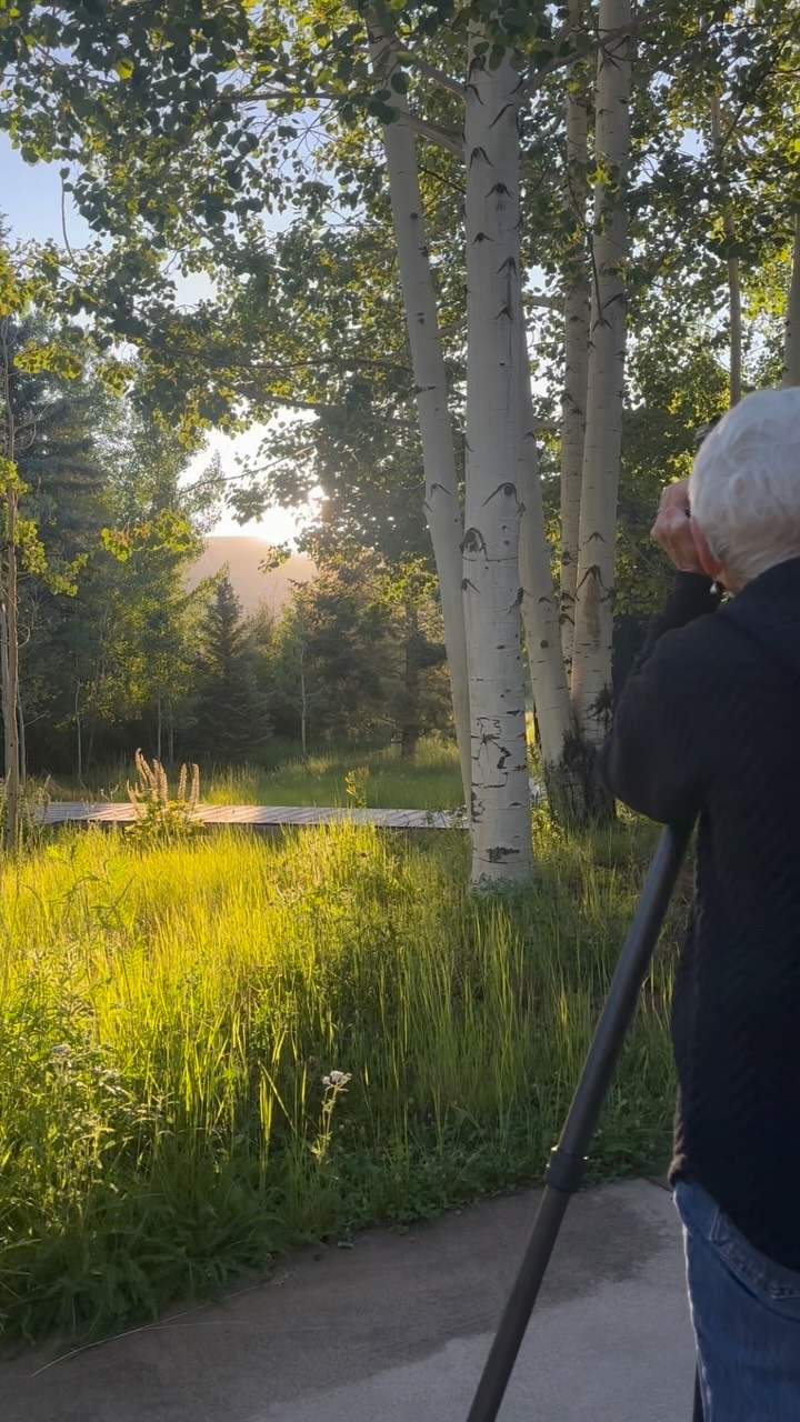 Take a sneak peak to our latest photoshoot 📸, a chance to pause, reflect, and celebrate the work that has been accomplished. It’s more than capturing images; it’s about honoring the spaces we’ve shaped, the clients who believed in the vision, and the talented team who made it all possible. 💪🏼
Grateful for the opportunity to revisit these landscapes and see how they’ve grown, settled, and become part of the places they belong. 🌿
Stay tuned to see some project highlights! ✨
Landscape Photographer: @marionbrenner
#landscapephotography #landscapearchitecture #gardendesign #luxurydesign #placebaseddesign