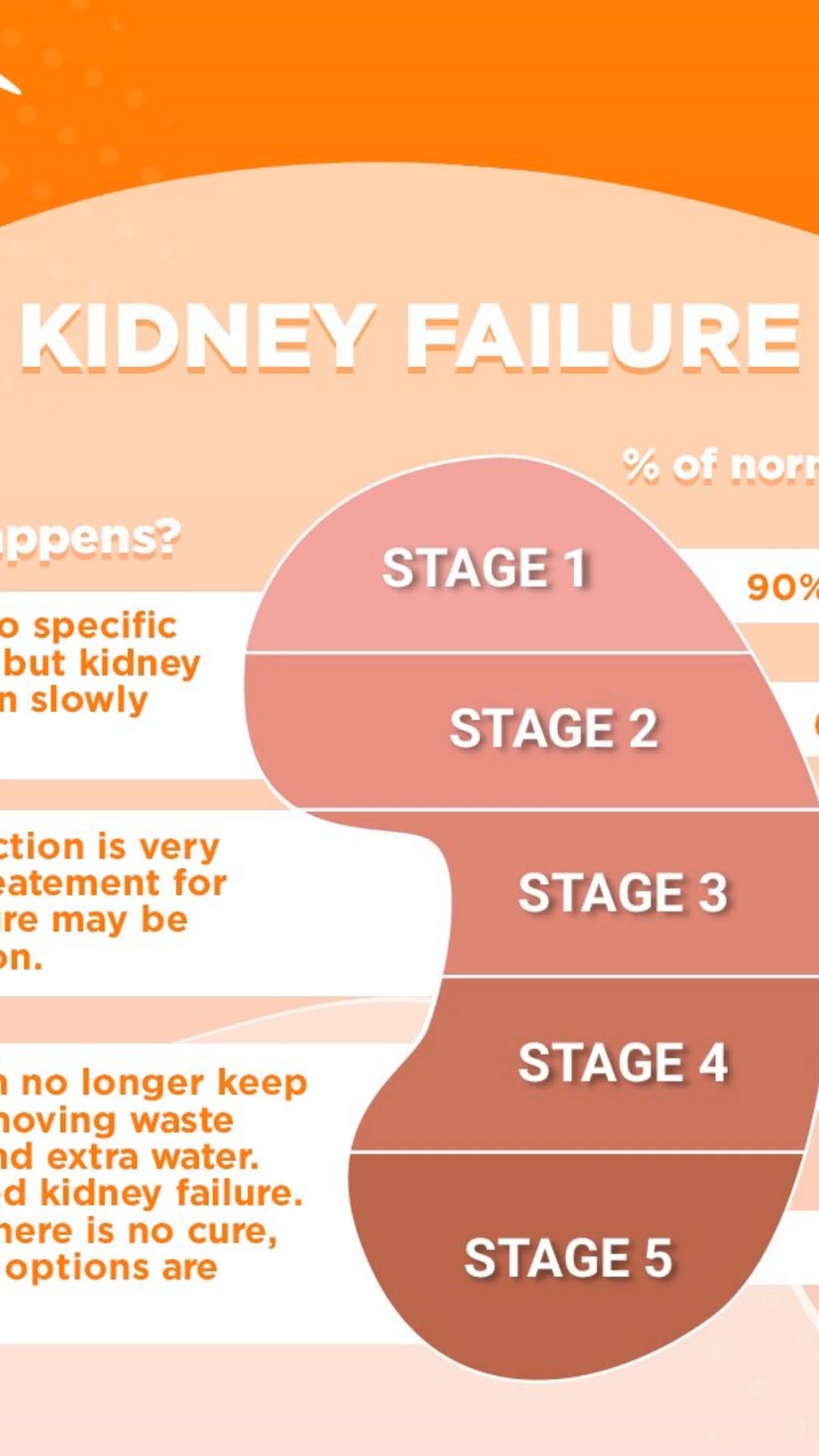 THE SILENT KIDNEY DISEASE TIMELINE:
STAGES 1-2: Completely silent—no symptoms at all
STAGE 3A (eGFR 45-59): Usually still no symptoms
STAGE 3B (eGFR 30-44): Symptoms start to appear in some patients
STAGES 4-5 (eGFR below 30): Multiple symptoms become common
THE SHOCKING REALITY: According to CDC guidelines, both decreased kidney function and protein spillage are usually silent without laboratory testing.
This explains why 90% of people with kidney disease don't know they have it.
The takeaway? You need proactive testing—your body won't warn you until it's advanced.
SAVE THIS POST to understand kidney disease progression and SHARE with someone who needs this wake-up call.
Questions about kidney stages? Drop them below—I read every comment.
➤ For the complete kidney disease series: Follow @seanhashmimd
References
Centers for Disease Control and Prevention (CDC).
“9 in 10 adults with CKD do not know they have it.”
www.cdc.gov/kidneydisease/basics.html
(Accessed 2024)
KDIGO 2022 Clinical Practice Guidelines for the Evaluation and Management of CKD.
Outlines stages by eGFR, symptom progression, and the silent nature of early disease.
(Kidney Int. 2022;101(5S):S1–S276)
National Kidney Foundation – CKD Stages Overview
www.kidney.org/atoz/content/about-chronic-kidney-disease
(Accessed 2024)
Coresh J, et al. “Prevalence of Chronic Kidney Disease in the United States.”
JAMA. 2007;298(17):2038–2047.
Shows low awareness and diagnosis despite laboratory evidence
Levey AS, Coresh J. “Chronic Kidney Disease.”
Lancet. 2012 Jan 14;379(9811):165–80.
Details progression from silent to symptomatic stages of CKD
Matsushita K, et al. “Estimated glomerular filtration rate and albuminuria for prediction of cardiovascular outcomes: a collaborative meta-analysis.”
Lancet Diabetes Endocrinol. 2015;3(7):514–525.
Reinforces the importance of screening because symptoms lag behind structural and functional decline
Medical Disclaimer: This content is for educational purposes only and does not constitute medical advice. Always consult your healthcare provider for medical decisions.
#KidneyDisease #SilentSymptoms #EarlyDetection #HealthScreening #PreventiveMedicine #seanhashmimd #Nephrology
