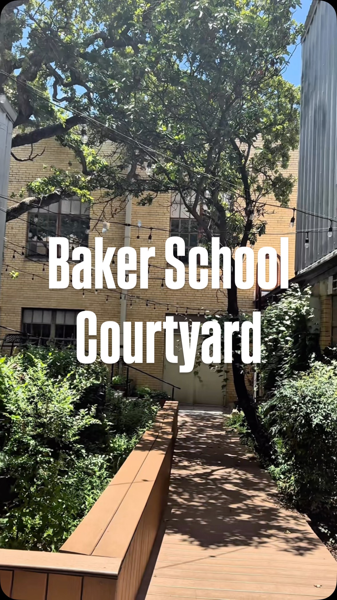 Welcome to the heart of the building — a peaceful courtyard redesigned with boardwalks, lush landscaping, and a koi pond cooled by recycled water. A favorite spot for quiet calls, lunch breaks, and the occasional happy hour.
@AustinCityParks
#bakerschool #austintx #hydepark #AustinHeritageTourism