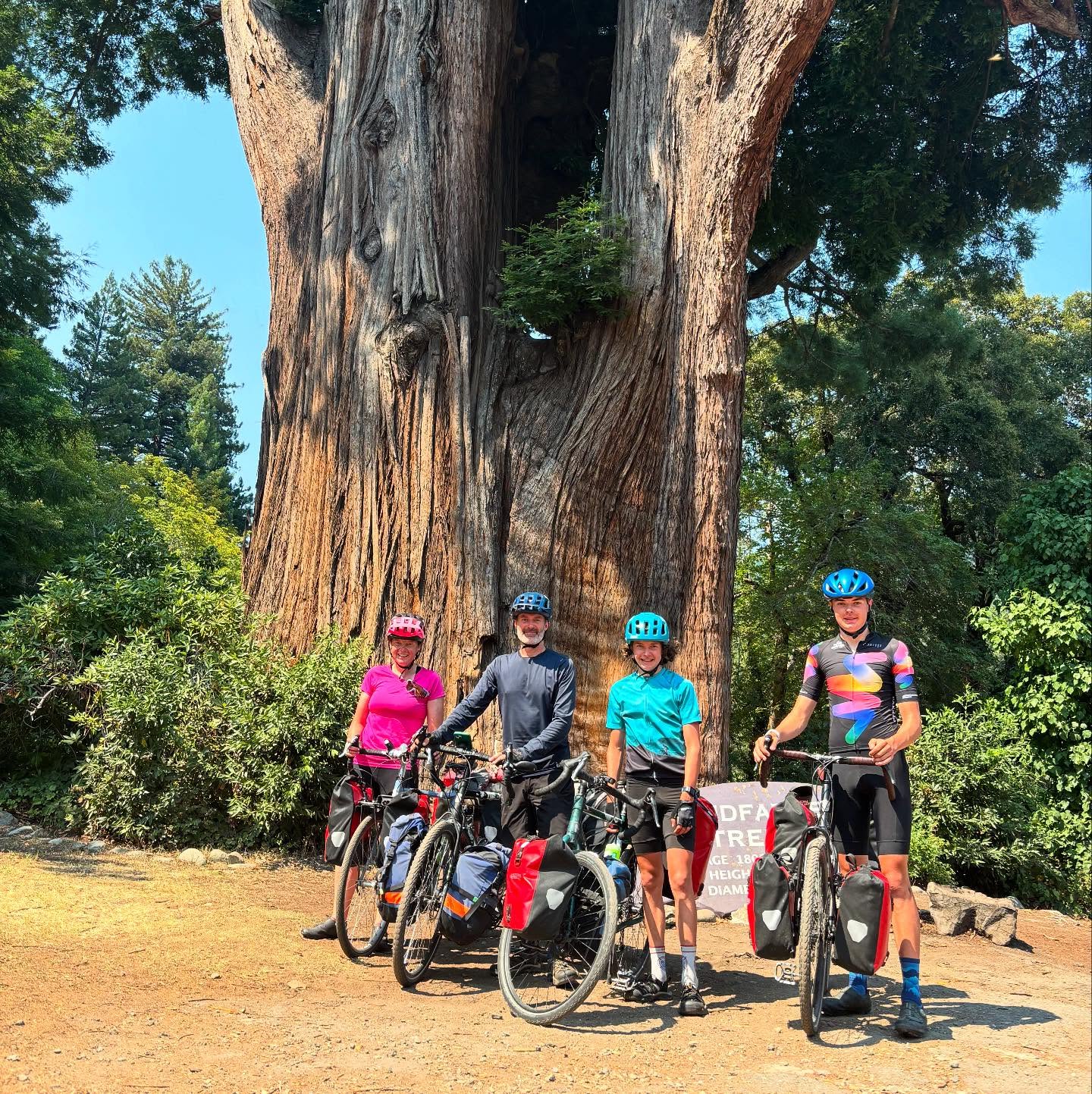 Brutal day on the bikes today— 36C, hilly, and straight into a relentless hot headwind. But finishing the last section of the Avenue of the Giants made it all worth it.
Moderate heat stroke was all but forgotten after an awesome river swim at our campsite, and a delicious garden dinner at The Peg House. Legs are toast, hearts are full.
#california #redwoods #pacificcoastbikeroute #AvenueOfTheGiants #bikepacking #biketouring