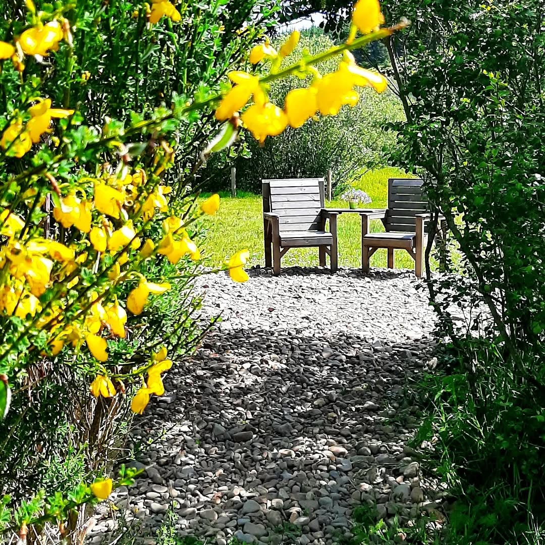 Summer Vibes! 🌞
#heartoftheglen #natureholidays #biodiversity #beerlover #dumfriesandgalloway