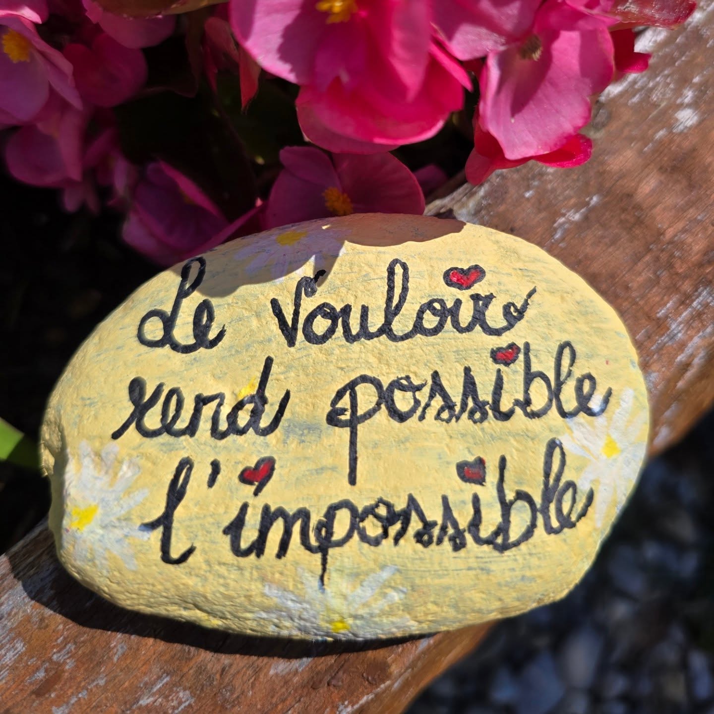 🪨 Créations de galets citations
💻 A retrouver sur mon site internet: www.entrelacsetmontagnes.ch