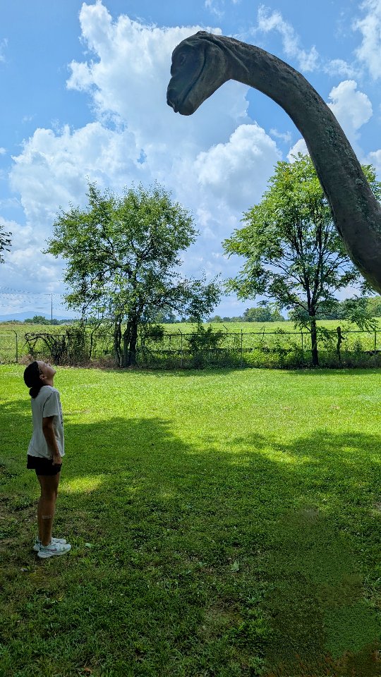 Who else was a dinosaur kid? 🙋♀️
Our campers couldn’t stop hugging the dinos today—swipe to show us YOUR dino obsession level. 🦖❤️
#learningadventurebus #DinoDiscovery #SummerCamp