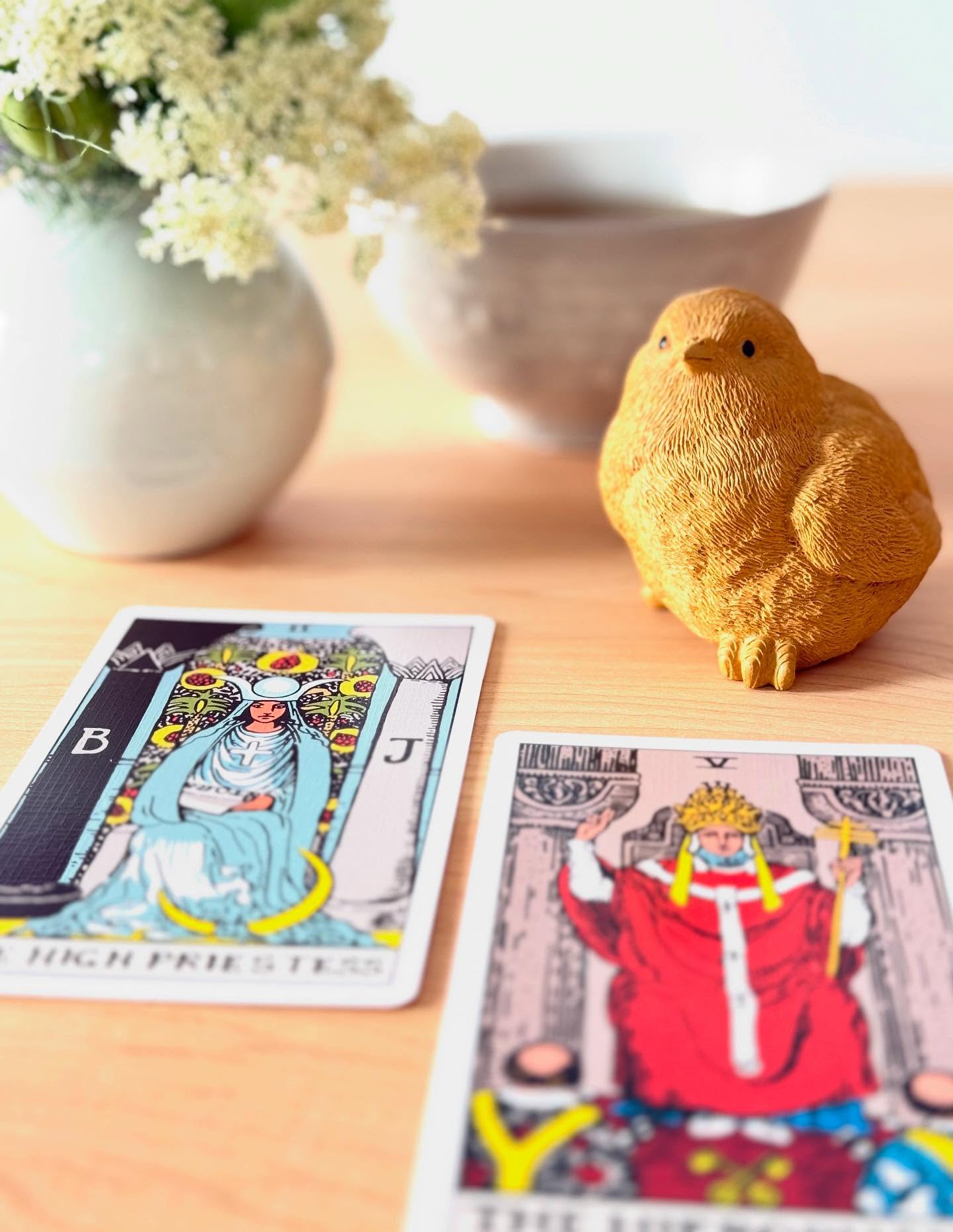 favorite teapet supervising Tea & Tarot... personal reading by Debi and a tasting of Chinese black (red)tea …leavesinabowl.com to reserve #tarot #chinesetea #blacktea #redtea #trysomethingnewtoday #selfcare
