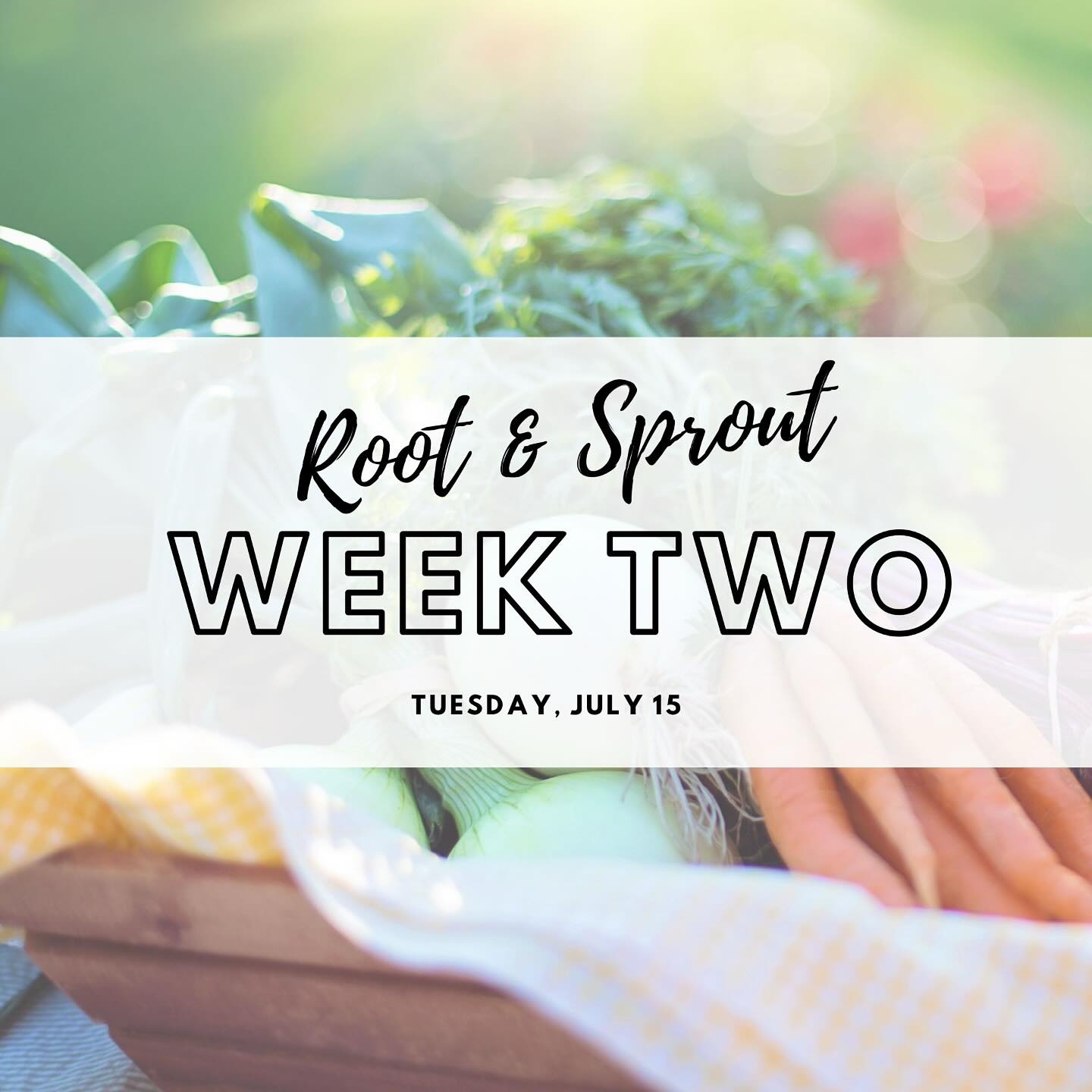 Check your inboxes Root + Sprout CSA members; your bag contents for the week have been posted!
If you’re looking for a few things and aren’t apart of our CSA, our online market is now open. Pickup is Tuesday from 4:30-5:30.