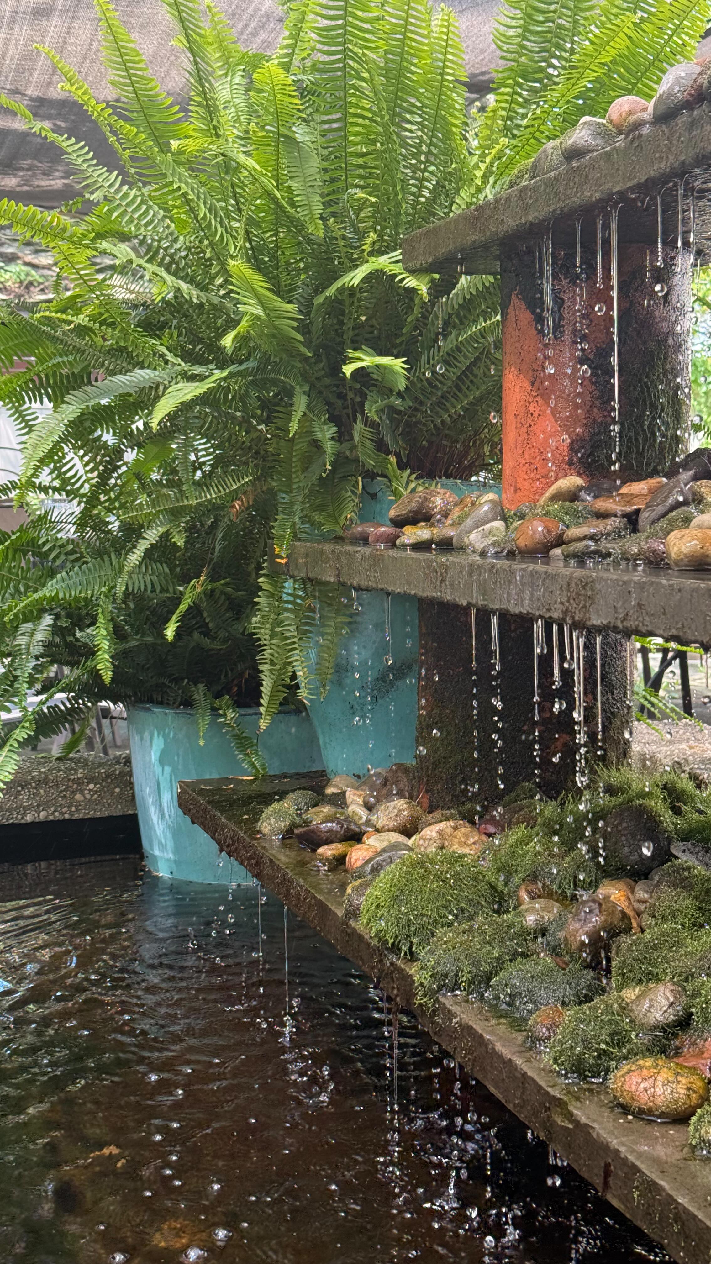 Itâs Restaurant Week !! â¨Design isnât just for homes it shapes every unforgettable dining experience.â¨Letâs support local flavor and fabulous designs .
This desert was delicious đĽ°
.
.
â¨#DesignMeetsDining
#SupportLocal
#lehighvalleyparestaurants
#summertimevibes
#bethlemanpa
#eastonpa
#allentownpa
#myfavouriteplacestoeat
#wcainteriors
#wandracaininteriors