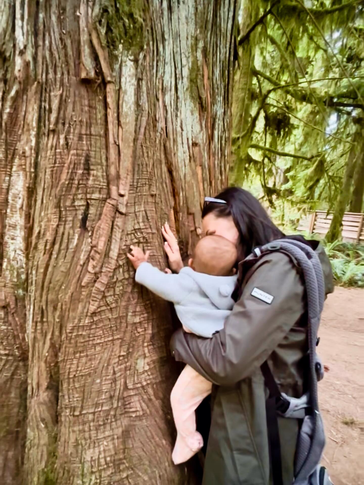 A proud and magical moment for me… witnessing my daughter teach my granddaughter how to connect with the trees, the same way I taught her.
Spiritually, trees are wise beings that exchange energy with us, helping to clear heaviness and ground us.
From a physics perspective, your body’s electromagnetic field meets the tree’s subtle electrical signals when you touch it, syncing your nervous system with its calm, steady rhythm.
That’s why you feel clearer, calmer, and more relaxed when you touch trees.
Recently, I connected with an ancient 800 year-old tree and had a new kind of experience: a watery sensation blurred my inner vision, it was like standing inside a window while someone is spraying a water hose on it from the outside, and within a minute, I found myself inside the tree, slowly spinning counterclockwise. I had no awareness of my body or surroundings…I was in the vortex. It lasted about three minutes, and then I suddenly felt the journey was complete. I returned to my body and the sounds of the forest around me.
It was a sacred conversation between my energy and the tree where my body was liberated of stress. Nature always leaves me in awe, as does the way it invites us to explore deeper within.
Our tuning in, tapping in, and meditations don’t need to be lengthy to be potent and effective. All that’s required is presence, a willingness to let go of expectations, and allowing the experience to unfold.
The next time you pass a tree, pause. Place your hands on its bark. Breathe. Be present. Feel the quiet exchange.
#treeenergy
#natureconnection
#grounding
#earthwisdom
#forestmedicine
#spiritualpractice
#energyexchange
#naturehealing
#sacrednature
#treehugger
#meditationoutside
#naturetherapy
#spiritualawakening
#earthing
#forestmagic
#britishcolumbia
#vancouverisland
