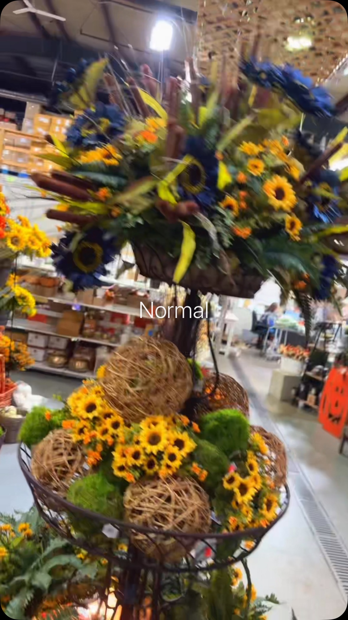 Autumn’s beauty, hand-arranged. 🍁
.
.
.
.
.
#SeasonalDesign #FallFloralArt #tennessee #flowers #direct #knoxville #cookeville #chattanooga #pumpkins #bushes