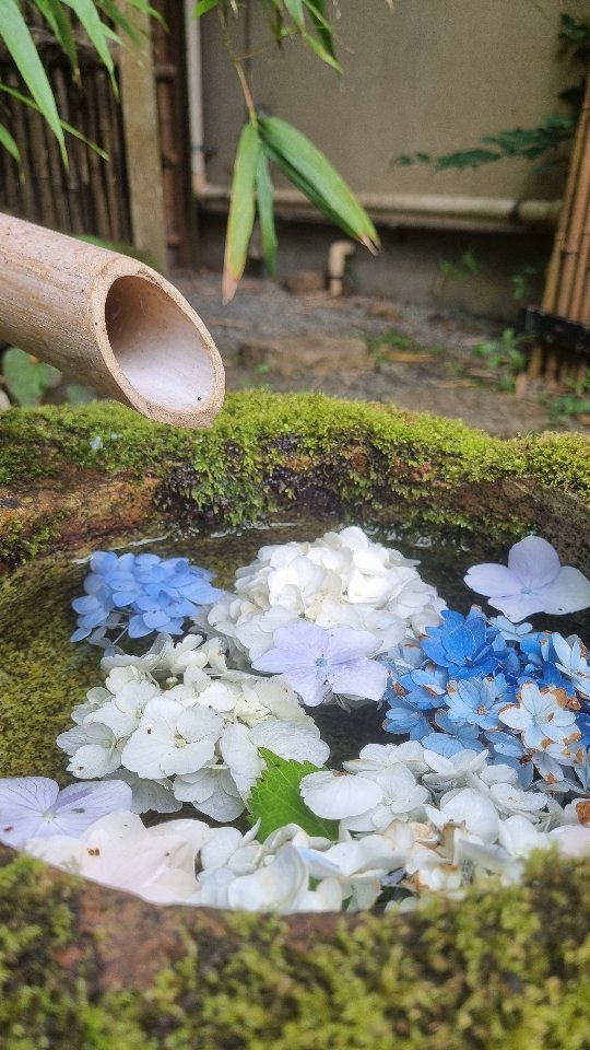 Quand le problème, c'est le lecteur...
En fouillant dans les avis du Tome I du Bureau des Âmes, je suis tombée sur cette pépite.
Ne faites pas comme Audrey, lisez la quatrième de couverture 🫂 Ne pénalisez pas les auteurs pour vos propres erreurs de lecture 🖤
Mots-clés : livre - bookstagram - avis lecture - roman - booksta - thriller fantastique - fantasy
Hashtags : #bookstagramfrance #avislecture #viedautrice #ecrivain #ecrireunroman #bookstagramfr #livresque #thrillerfantastique