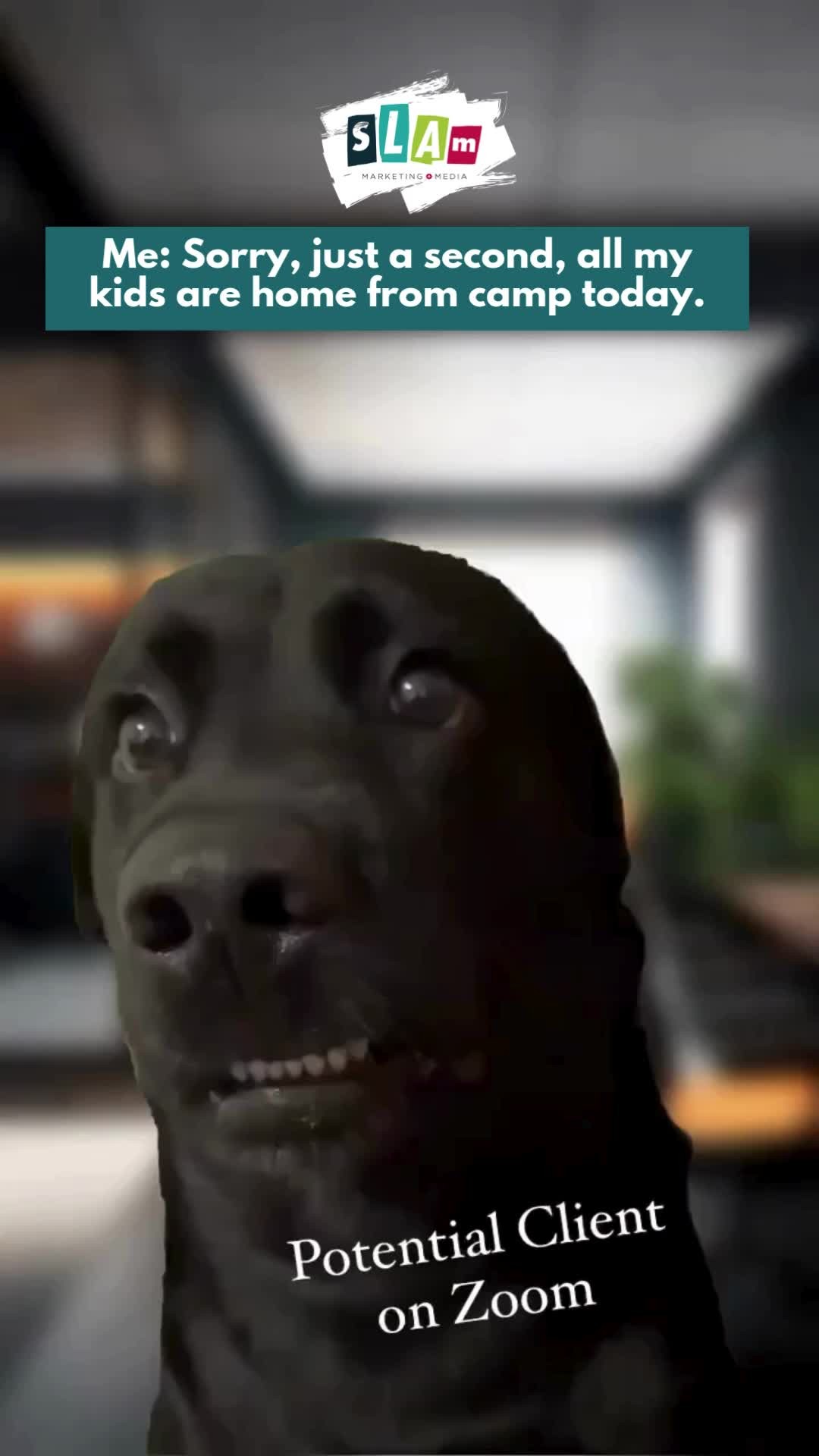 Our office has a dress code: business on top, fruit snacks on the floor.
WFH with kids? Loud. Messy. Still magic.
#WorkFromHome #SummerBreak #SLAMMM