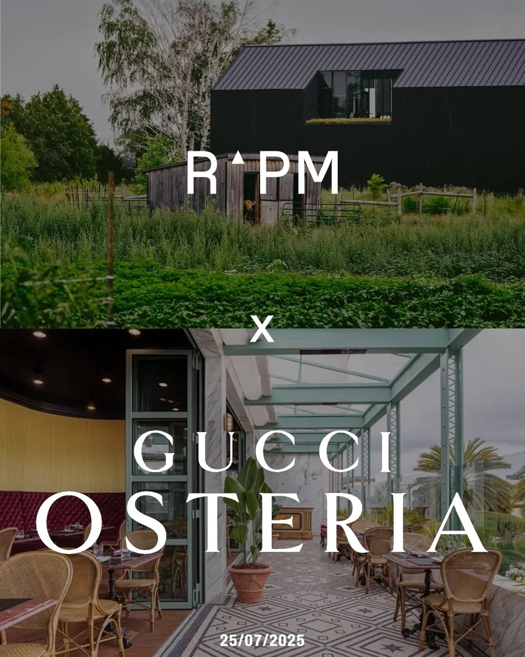 ✨ One night. Two Countries. Three culinary visionaries.
On July 25, the Niagara Benchlands becomes the backdrop for a truly unforgettable table.
🌎 Globally renowned Chef Mattia Agazzi of Gucci Osteria Beverly Hills joins forces with Chef Daniel Hadida and Chef Eric Robertson at Restaurant Pearl Morissette for an exclusive, one-night-only collaboration. Expect iconic Gucci Osteria dishes reimagined with fresh, seasonal ingredients grown right here in our regenerative farmed soils.
Seats are extremely limited. Don’t miss your chance to experience this extraordinary intersection of global prestige and local perfection.
🍽️ Reserve now via our link in bio.
📍And while you’re here… discover why the Niagara Benchlands is fast becoming Ontario’s most celebrated culinary destination. From MICHELIN-recognized kitchens to farm-to-glass flavours, your next taste trip starts here.
#NiagaraBenchlands #CulinaryDestinations #PearlMorissette #GucciOsteria #FarmToFork #ExploreNiagara #OntarioCulinary #WanderersWelcome @gucciosteria @_eric.robertson_ @daniel_hadida_ @mattia.agazzi.89