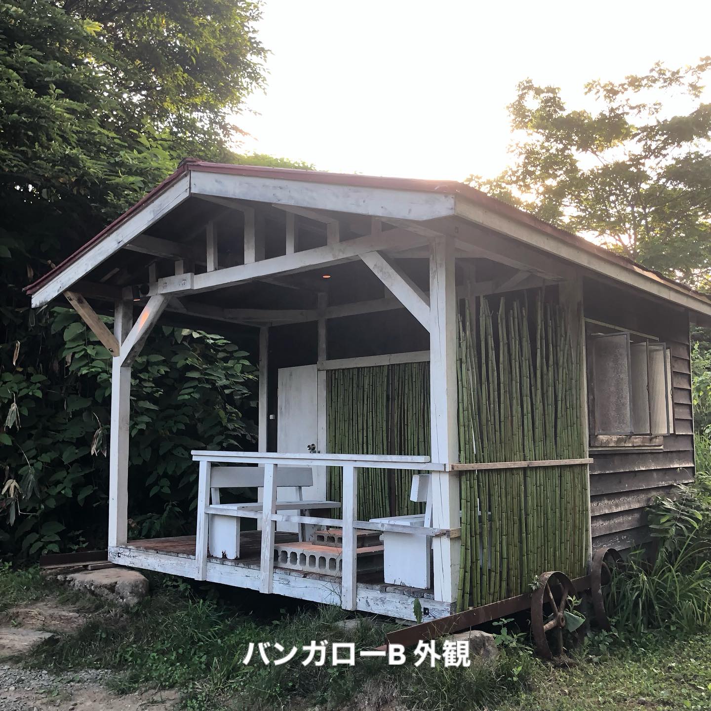 今年のバンガローBを紹介します🛖
こちらも少しずつですが、使いやすいように過ごしやすいように改修をしています🔨
・目隠し装飾用にイタドリフェンスを設置🎋
→北海道ではお馴染みのイタドリを活用!今は竹っぽい緑色ですが、徐々に渋い茶色になる予定
・ウッドデッキにカウンターを新設
→BBQのときに便利になりました🍖
・雪で破壊された屋根を修理🪚
室内は変更ありませんが、流木を使った間接照明が落ち着いた雰囲気です🌲
