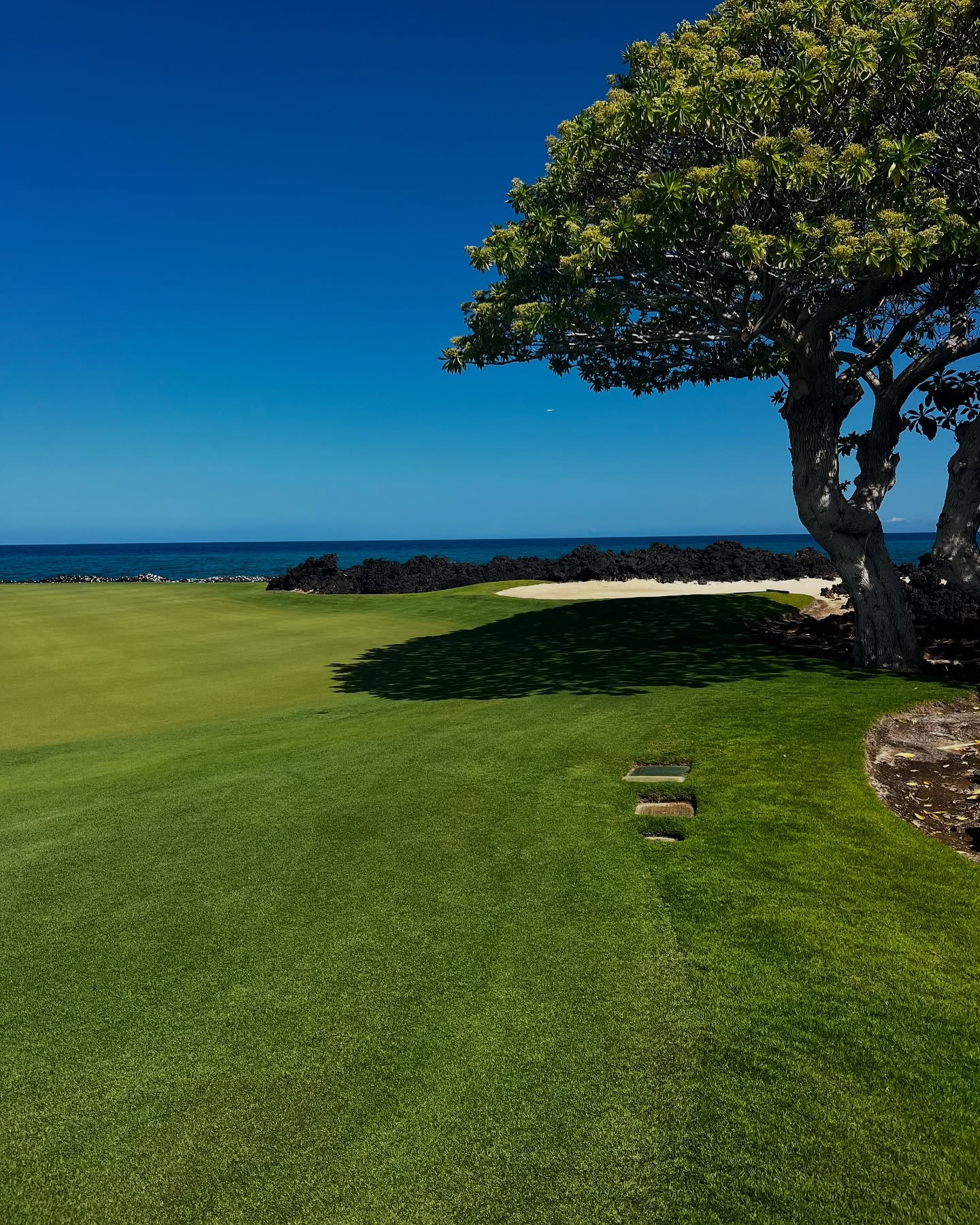 Ocean views during your golf game on a perfect Hawaii day ⛳️