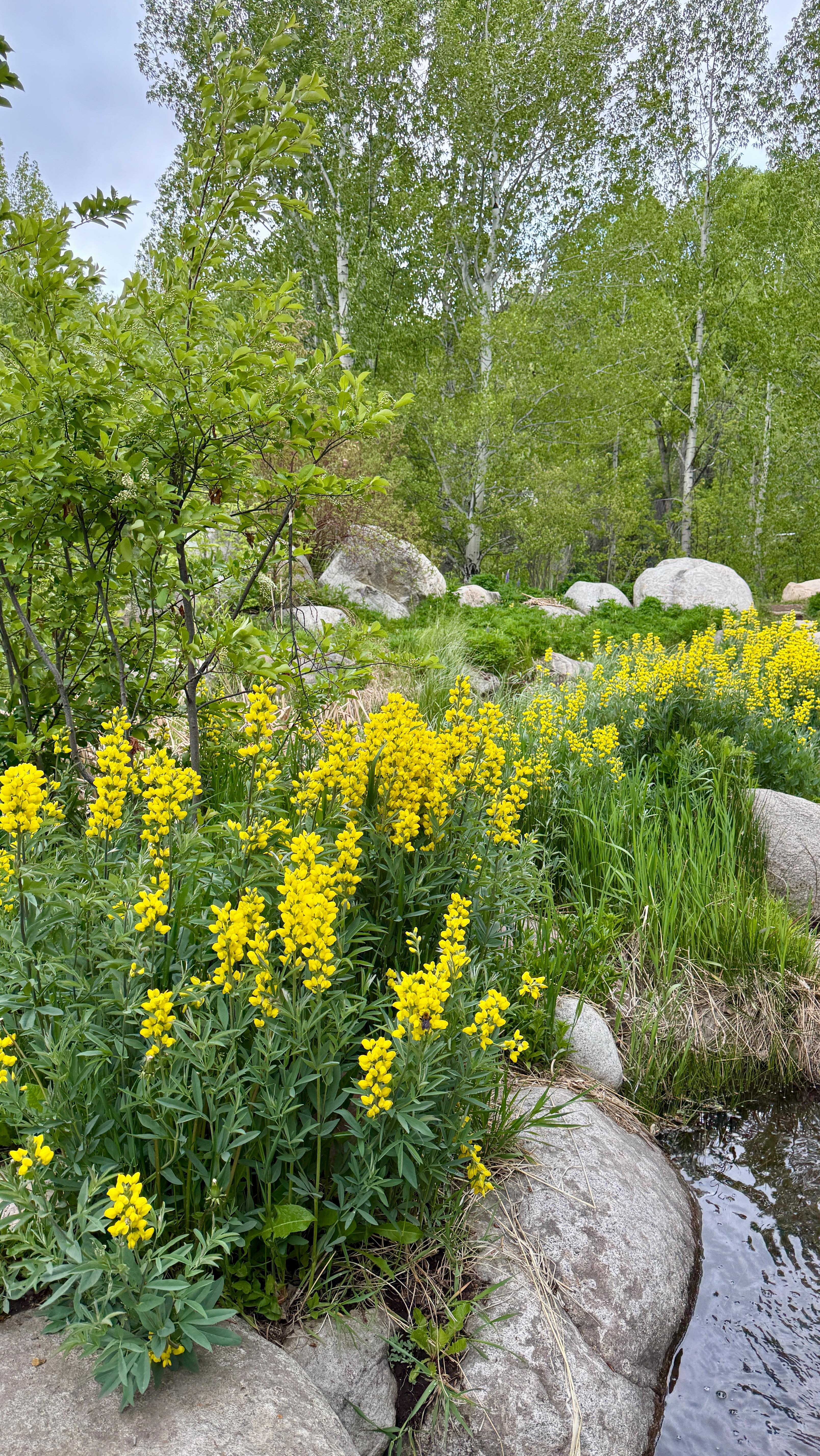 Does anyone else spend many many many hours making epic playlists for their road trips?
And then tearing up a bit when you’re on the trip and listening to the songs you imagined listening to with all the beautiful scenery surrounding you?
Let me know if you have an upcoming trip and need the BEST SOUNDTRACK EVER. I’m pretty good at it. 💅🏻
#roadtrip #spotifyplaylists #colorado