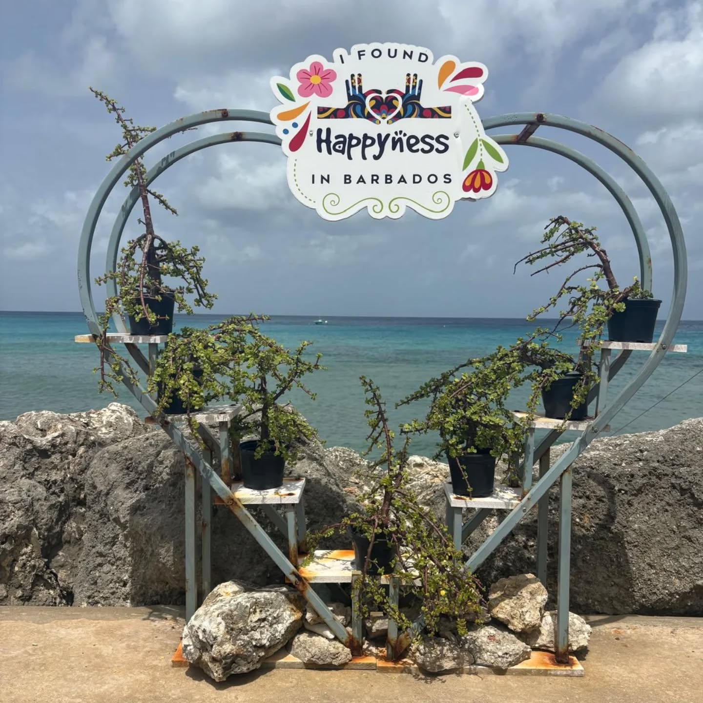 We have had a last minute cancellation @carizmavillabarbados and now have availability for end of July 2025 into August 2025. Are you coming to find your happiness in Barbados @happynessbarbados ? Click in our bio for the link to our website for further information and contact details.
#visitbarbados #lastminuteholiday #carizmavillabarbados #speightstown #barbados