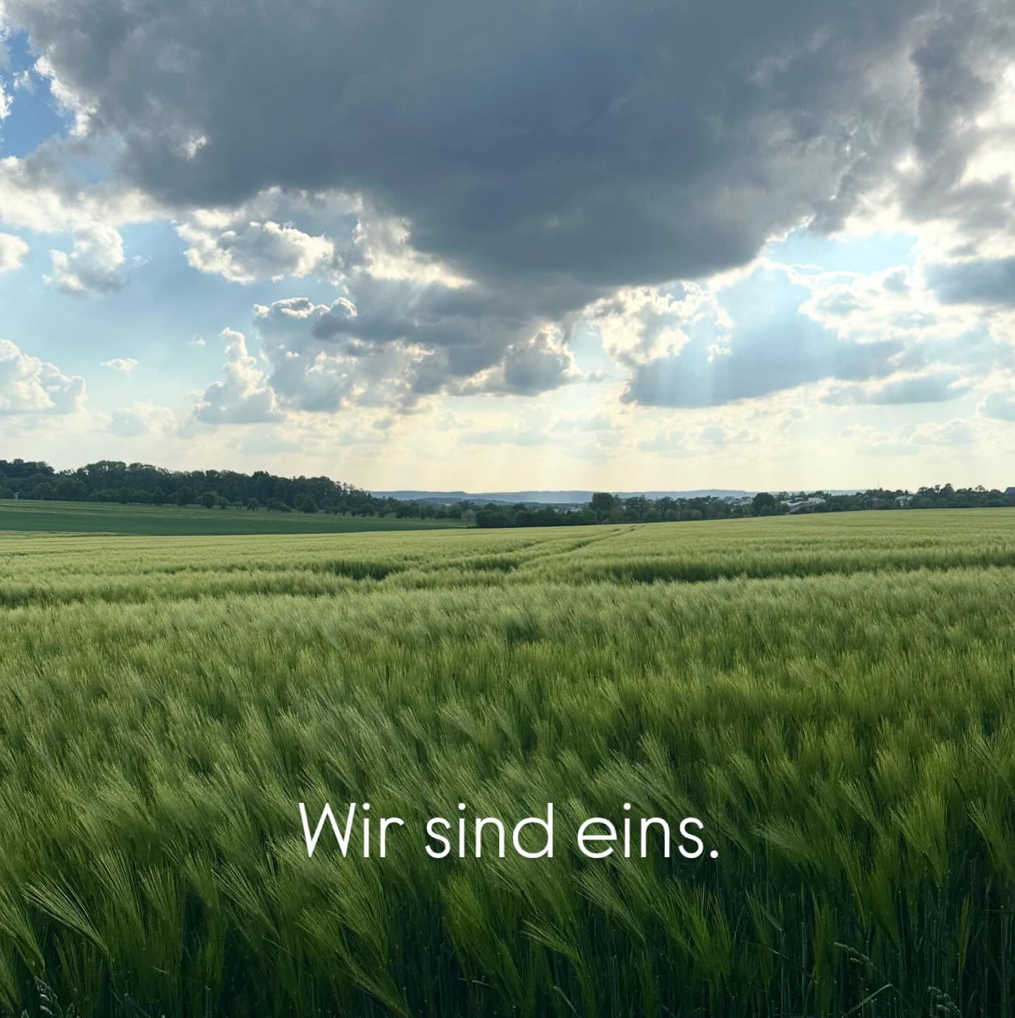 „Die Einigkeit, die wir anstreben, besteht nicht darin, dass alle am selben Ort stehen, sondern darin, dass alle in dieselbe Richtung schauen - auf Jesus Christus.
Wir sind eins -
nicht aufgrund dessen, woher wir kommen, sondern WOHIN WIR GEHEN WOLLEN;
nicht aufgrund dessen, wer wir sind, sondern WER WIR WERDEN WOLLEN.
Das ist es, was die wahre Kirche Christi ausmacht.“
Dieter F. Uchtdorf ☀️🫶🏼