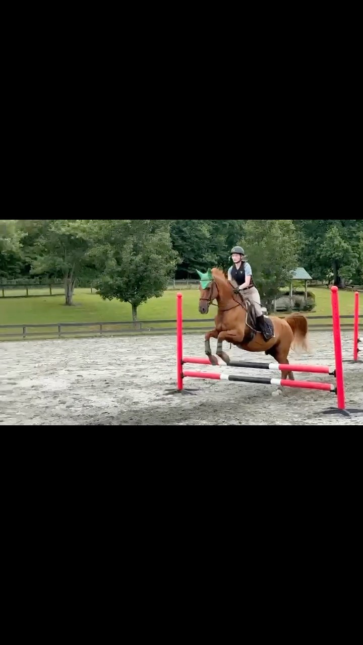 Another great day at @miller_eventing camp!!! Dressage, Grids, educational talks, course building, and even a scavenger hunt @farmhousetack! Thank you everyone who helped in making this such an incredible day!!! #millereventing #millereventcamp2025⛺️🐎