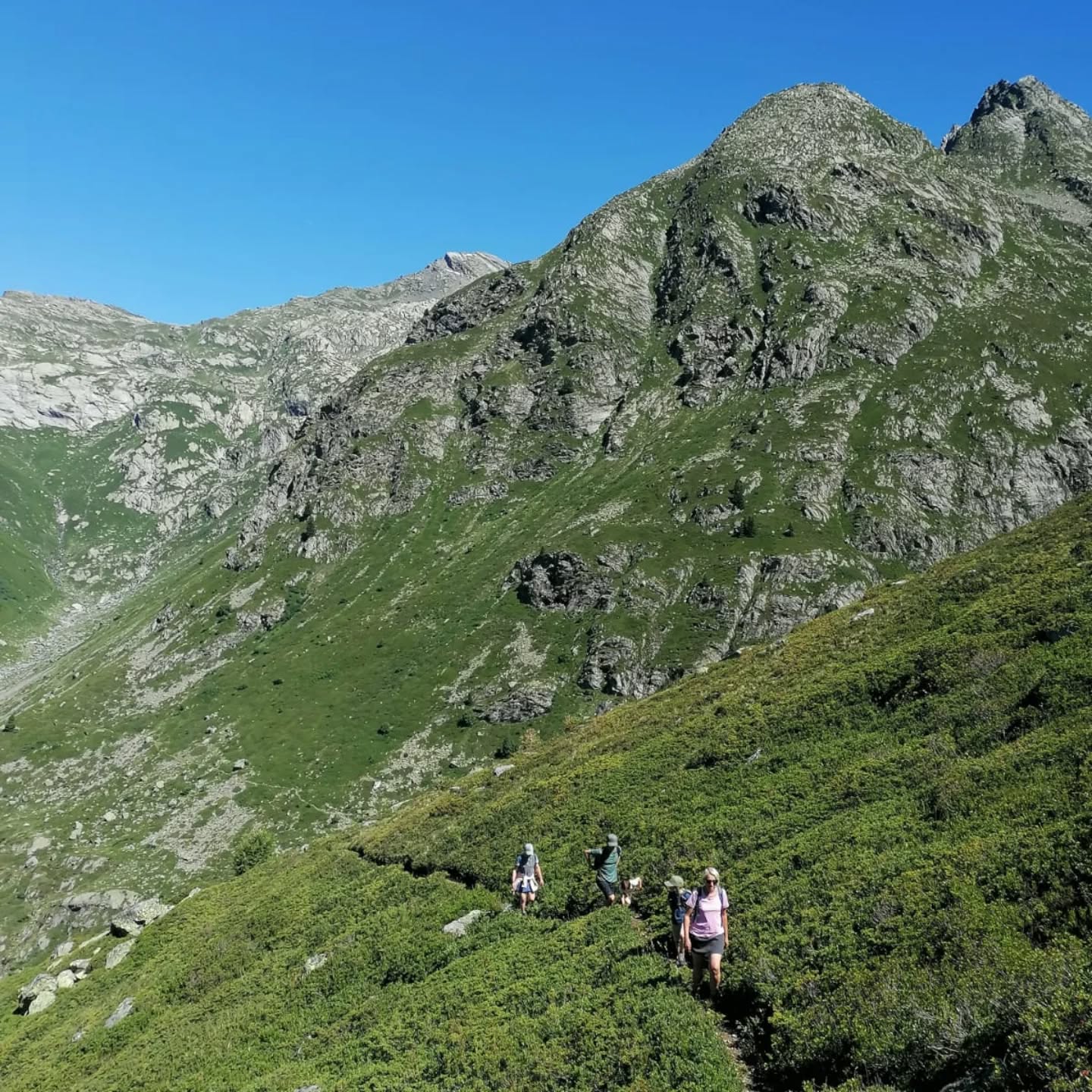 The mountains aren't just for winter!! Summer is pretty awesome too.. #mountainscape #mountainwalks #mountainlife #mountainholidays