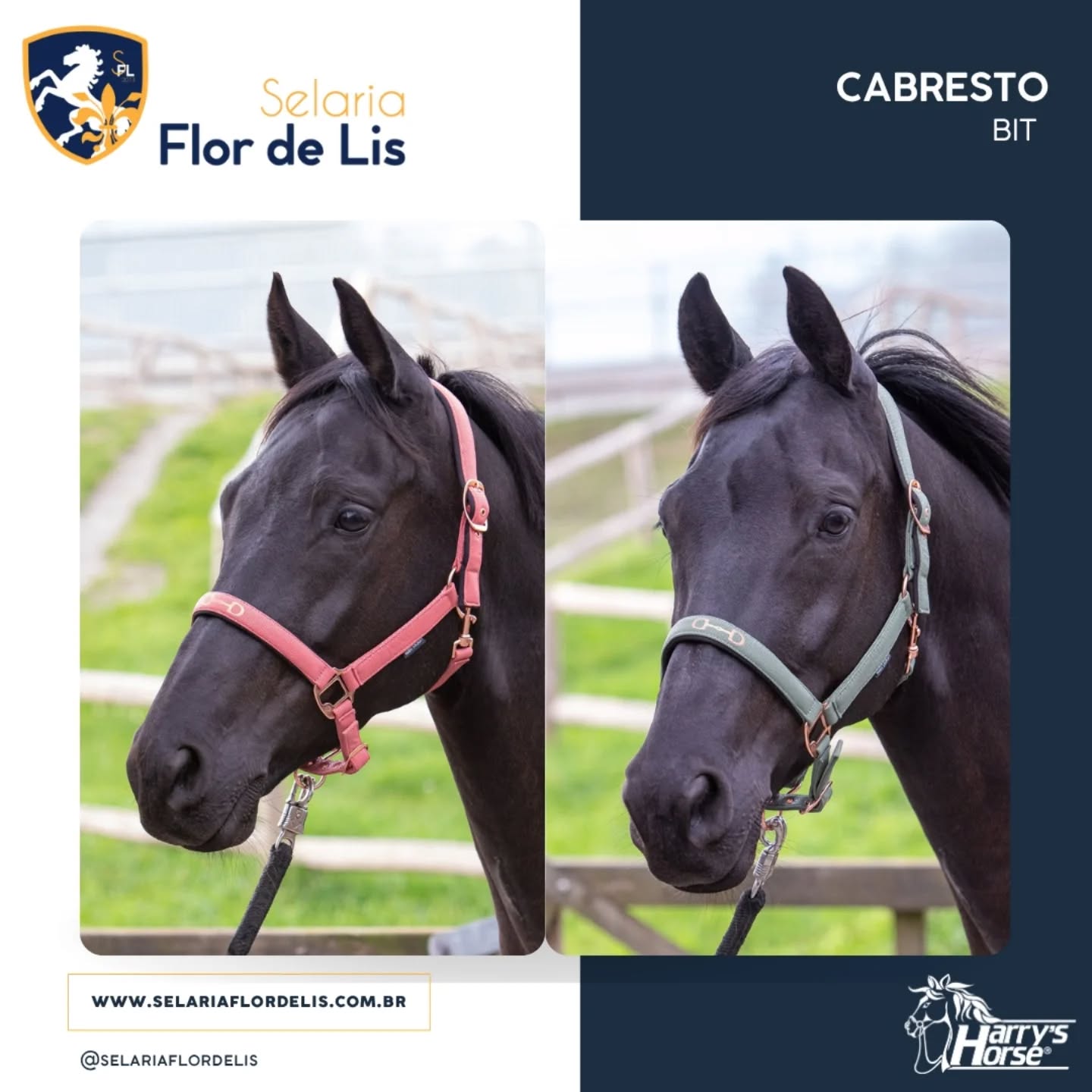 Cabresto Bit
Revestido com discreta estampa de couro de cobra
Metais em rosegold