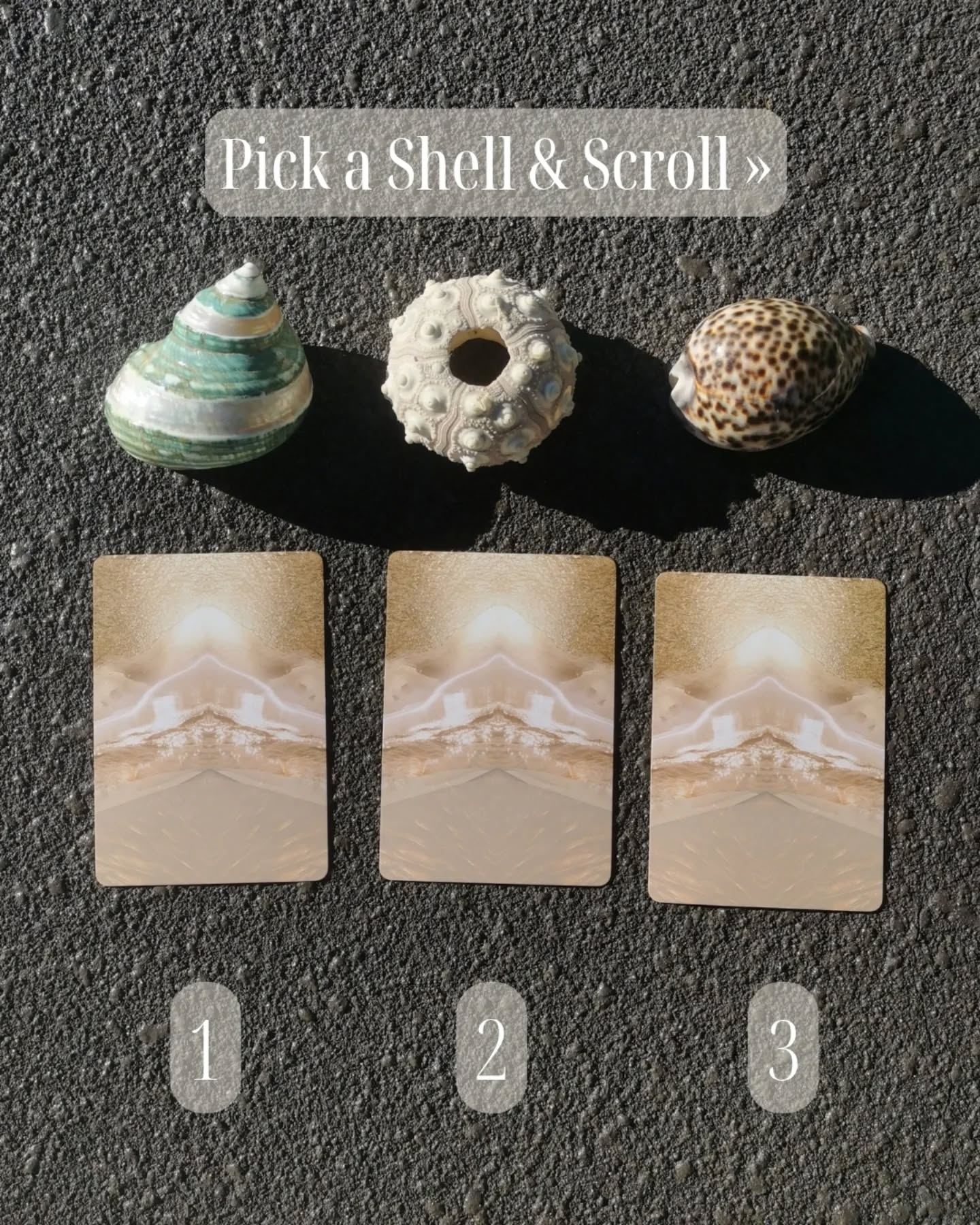 🐚 Pick a Shell 🐚 Channelled Messages from the Shells
Each card was guided by the shell, I simply held space and listened. Now it's your turn, take a moment to connect ✨
Which shell are you drawn to?
1️⃣ The Heart Healer | Heart Activation
This shell speaks of emotional renewal and heart healing. If you chose this, you're in a softening phase, your heart is beginning to reopen after a period of protection or pain. The card Heart Activation, confirms that you're being supported to return to self love and emotional flow. It's time to release emotional wounds, forgive, and start nurturing your inner self more fully. Self-love isn’t a destination, it’s a daily return.
2️⃣ The Sacred Spine | Tune Your Frequency
This shell represents energetic boundaries and sacred protection. If you chose this, you’re likely being drained by people, situations, or patterns that are no longer aligned. The Tune Your Frequency card brings clarity, it’s time to cut cords, realign your boundaries, and take your energy back. You don’t have to harden to protect yourself, you just need to get clear on what you allow in and out. Create space for energy that supports, not depletes.
3️⃣ The Courageous | The Mountain
This shell holds the energy of courage and forward movement. If you chose this, you may be facing fear, resistance, or uncertainty around your next step. The Mountain card confirms that challenges are real, but not a reason to stop. You are being asked to trust the process of becoming. Don’t wait for confidence to arrive before you begin. Move forward, even if it’s messy or slow. What matters is that you keep going.
Let me know which shell called to you and/or how this resonates. If you would like further information on any of these cards or shells, send a message or comment and I'll be more than happy to share the full message 🤍 Xoe
Cards/ Deck Featured: The Dreamgate Oracle by @daniellenoel.art
#shellwisdom #pickacard #messagefromtheuniverse #channeledmessages #tunein #frequency #shellenergy #energy #healing #courage #heartactivation #ChannelledMessage #shellmedicine #cardoftheday