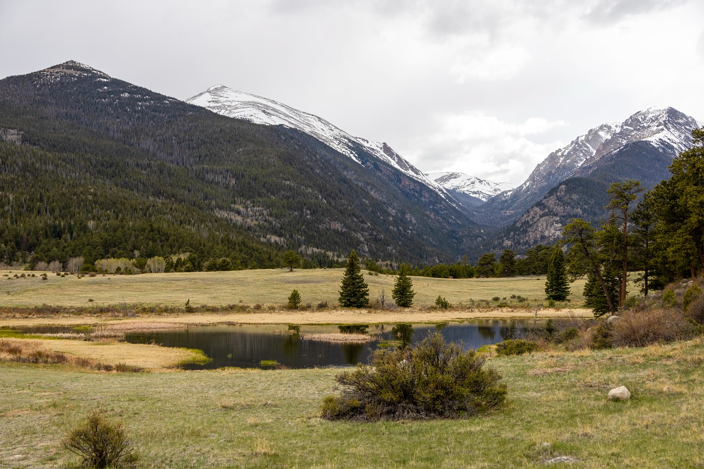 A few photos from @rockynps !
We stayed in Estes Park, but went into the national park a couple of times (having the national parks pass was super helpful and totally worth it!). We opted for more of the scenic drives/overlooks and short trails over the longer hikes, but we still had the opportunity to see plenty of wildlife! We saw elk, chipmunks, and beautiful birds through the park
.
.
.
#VisitEstesPark #colorado_travel #coloradoexperiences #rockymountainnationalpark #girlswhotravel #familyroadtrip #visittheusa