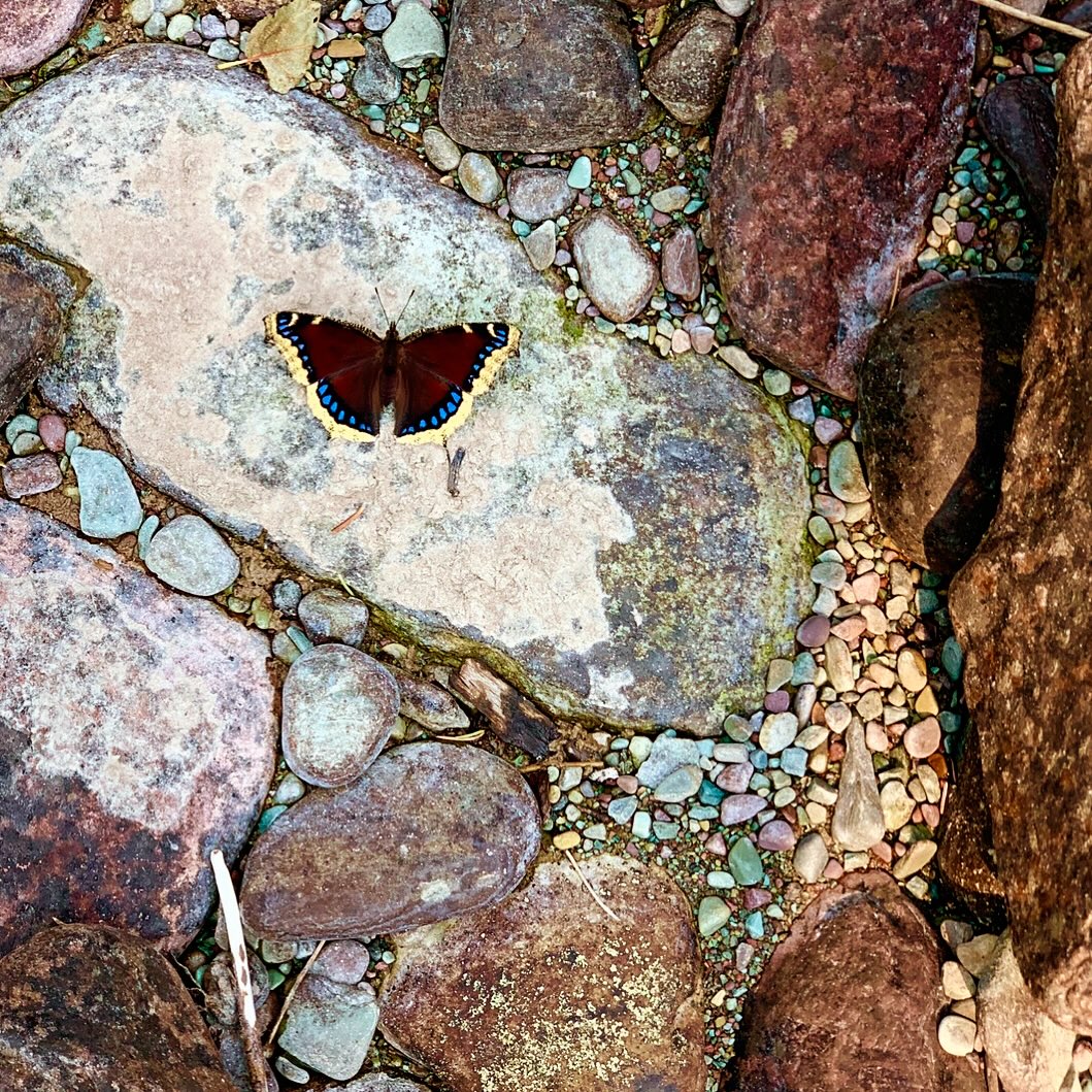 Old picture from a special place.