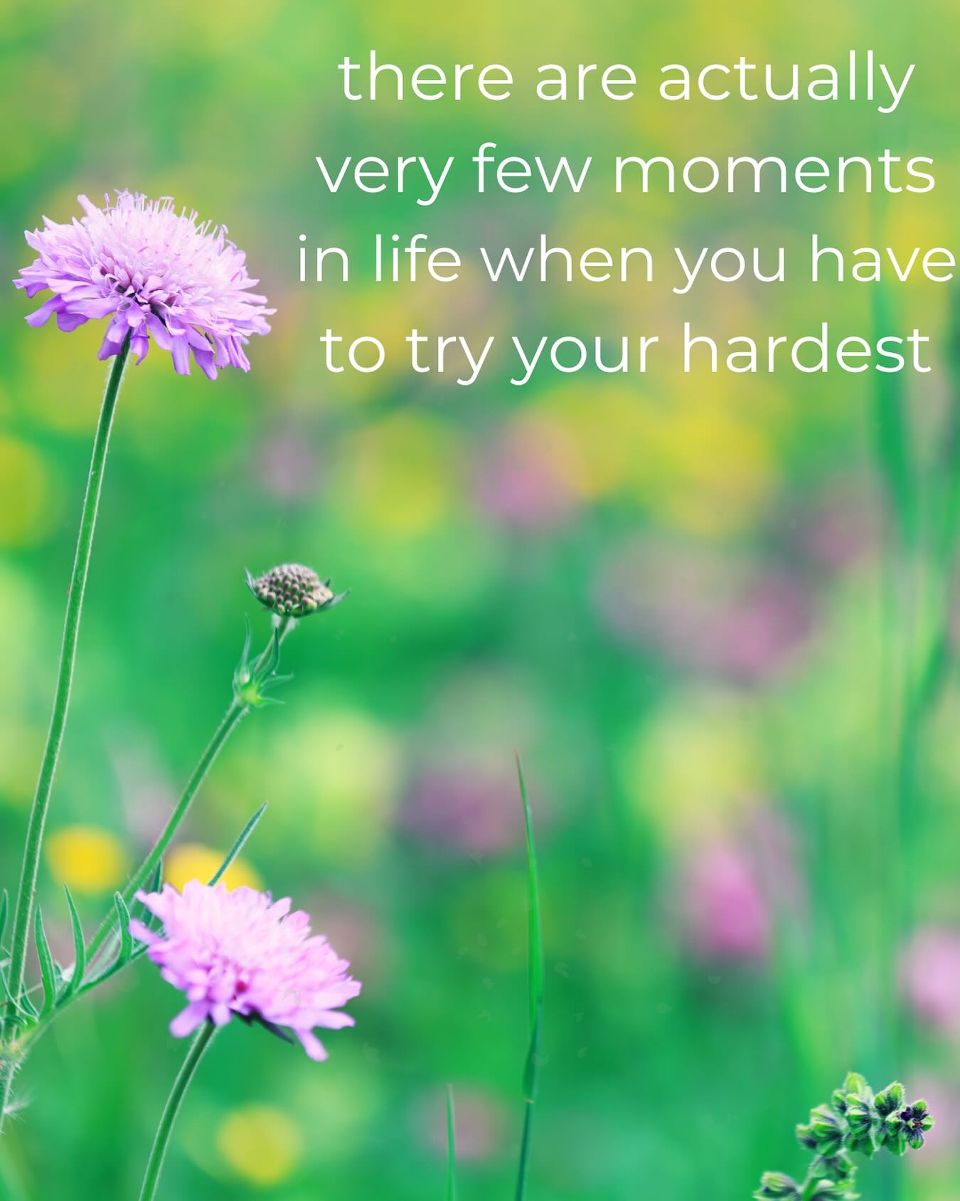 Give the amount of effort it’s worth. Give it your meh more often