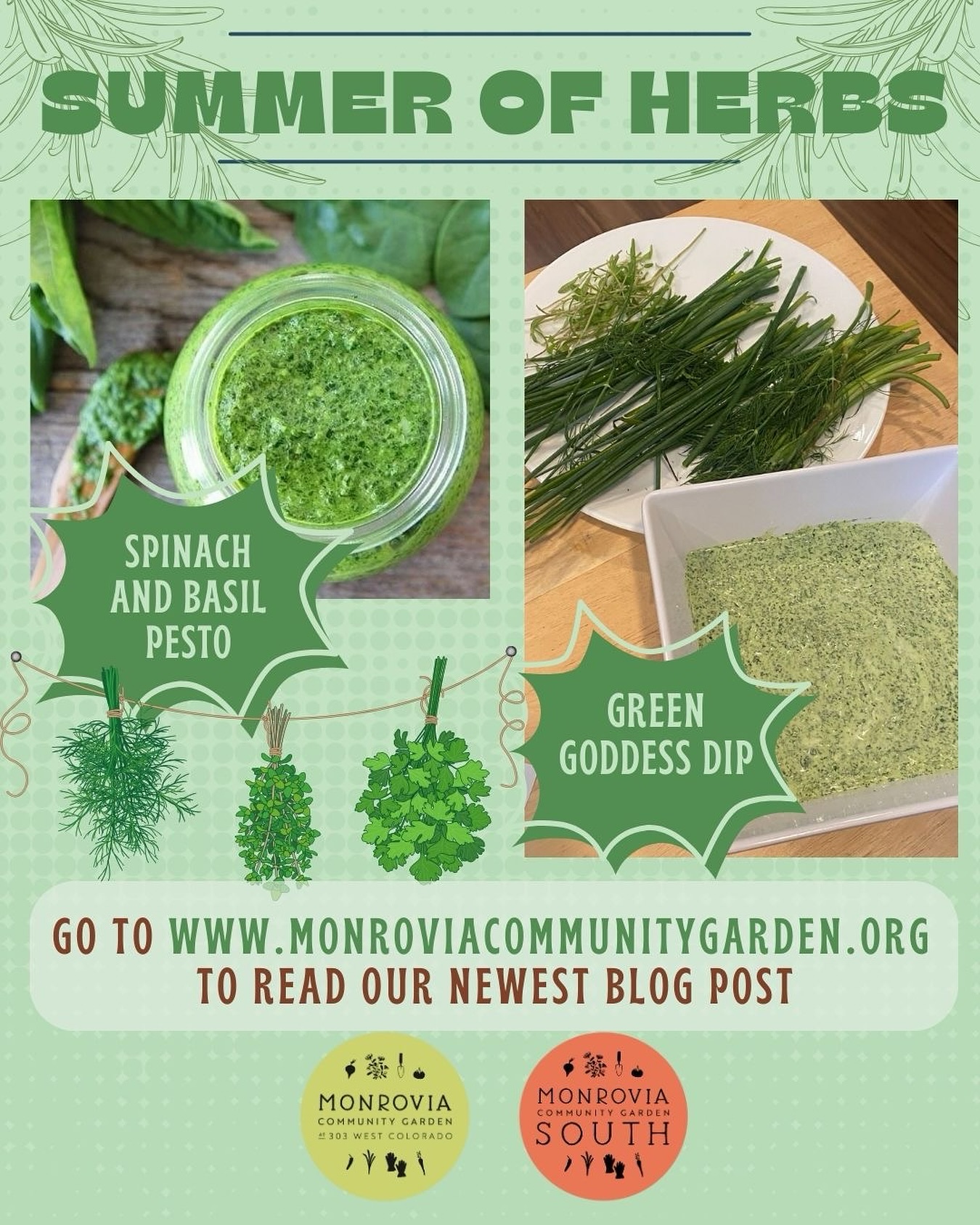 Did you know we had a blog? While it hasn’t been active for some years now, we couldn’t resist sharing these great recipes! Check it out at www.monroviacommunitygarden.org with info on herb recipes to try this summer! And find @foodedofficial at the Monrovia Farmers Market this Saturday, September 19th for a pop up demo to taste and make a few herb forward recipes! 🪴
.
.
.
#communitygarden #summerrecipes #garden #herbs #monrovia