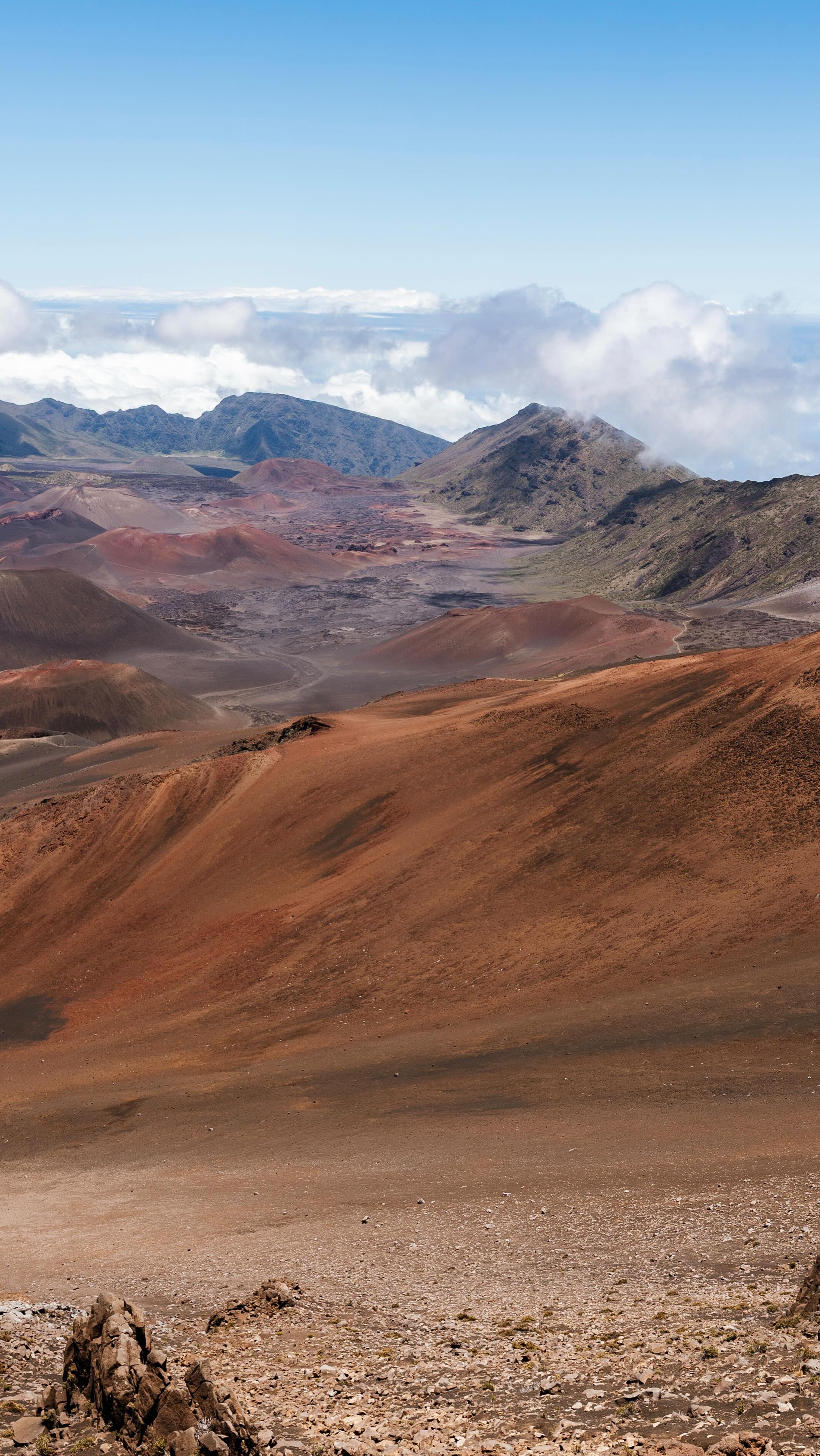 Maui 🌺
luau ✔️
swimming with sea turtles ✔️
hiking in Haleakalā National Park ✔️
pineapple farm tour ✔️
reading on the beach ✔️
floating in the lazy river ✔️
making memories with my family ✔️
📍@grandwailea @hiltonhotels
#MauiVibes #IslandEscape #TravelReel #AlohaAdventures #MauiTravel #HawaiiVacation #MauiAdventures #IslandGetaway #MauiReel #TropicalTravel #ExploreMaui #BeachVacation #AlohaVibes #HawaiianEscape #TravelToHawaii #MauiIsland #OceanViews #SunsetInMaui #TravelContent #ContentCreator