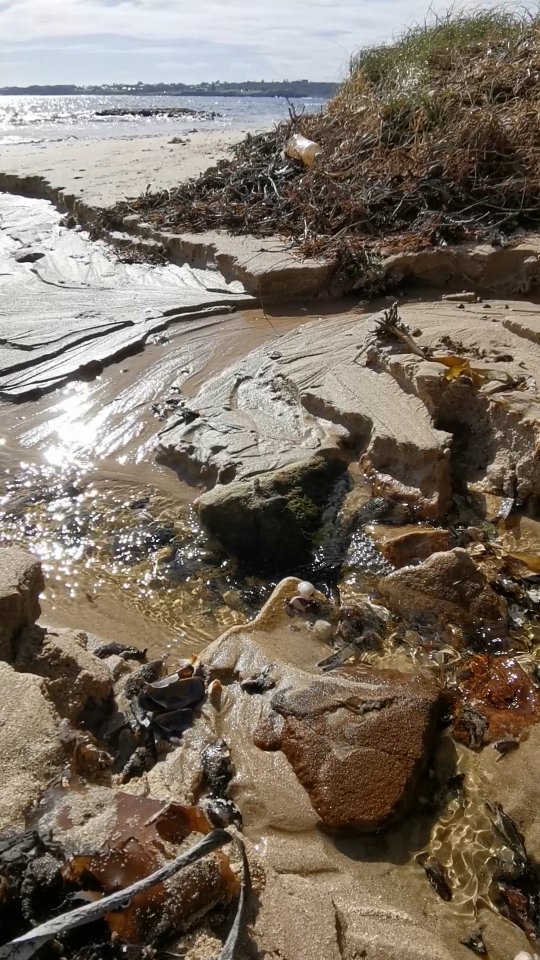 I trust the tide to take me where I’m meant to go 🌀