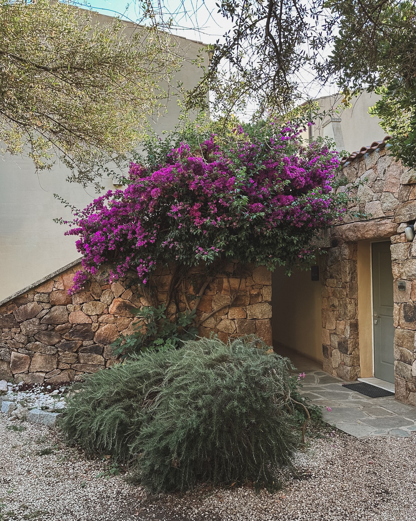 A note to Sardinia –
You wrapped my week in salt air and tiny wonders: lizards peeking from shadows, geckos clinging to warm walls, baby birds nestled atop lights, and a butterfly who lingered long enough to become a friend.
Sunshine claimed three books. I read Anathema – magical and strange – until the pages curled with suncream.
Days drifted between pool shallows and mousse in delightful pairings: peach and white chocolate, lemon and blueberry. Evenings glittered under San Teodoro’s market lights or dissolved into laughter-soaked moments playing cards with Tom - who nearly won (except not really).
I left behind the metallic-veined rocks, glittering memories returned to the ocean. I left the meat-thieving wasps too. You can keep those.
Thank you for your warmth, the sunshine in every corner, and moments suspended softly between tide and twilight.