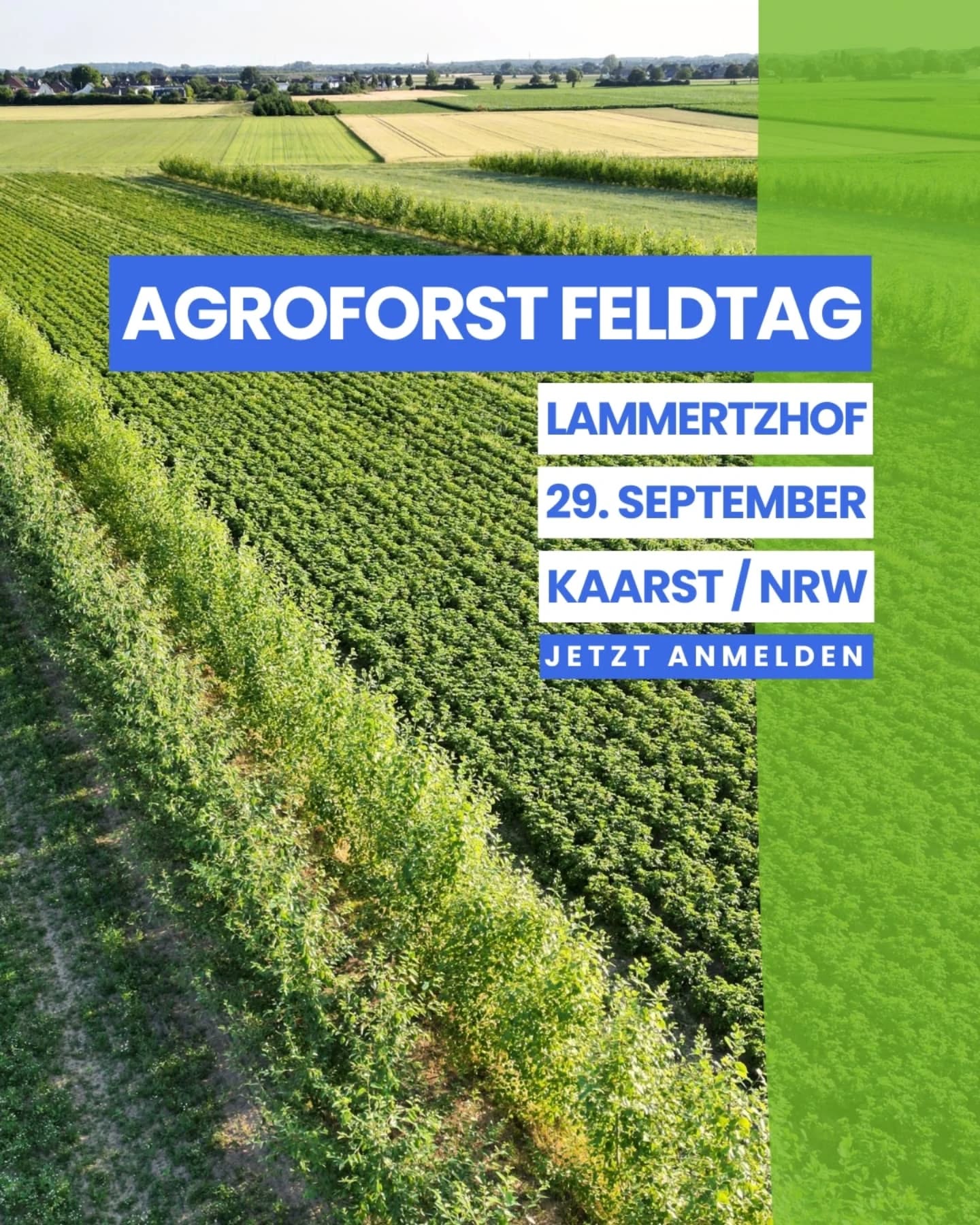 🌳 Wie können Bäume zeitgemäß in die landwirtschaftliche Praxis integriert werden?
🌳 Welche Baumarten eignen sich für welchen Betrieb?
🌳 Welche wirtschaftlichen und ökologischen Potenziale bietet Agroforst?
Der Agroforst-Feldtag am @lammertzhof bietet praxisnahe Einblicke, Fachvorträge von Expertinnen und Experten und Austausch mit anderen Landwirtinnen und Landwirten.
Im Frühjahr 2024 wurden im ersten Agroforst Projekt von @vivo_carbon rund 5.000 Pappeln auf vier Schlägen gepflanzt, verteilt auf 13 Baumreihen. Nach nur einer Vegetationsperiode sind die Bäume bereits 4 bis 5 Meter hoch. Sie sollen dazu beitragen, Dürren abzumildern, das Mikroklima zu verbessern und die landwirtschaftliche Produktion zu unterstützen. Während die Pappeln über einen Zeitraum von acht Jahren heranwachsen und später als Rohstoff z.B. für OSB-Platten genutzt werden, bleibt die Fläche weiterhin für den Gemüseanbau nutzbar.
📅 Montag, 29. September 2025, 10:30 – 16:00 Uhr
Bioland Lammertzhof, 41564 Kaarst
👥 💬 Wir freuen uns auf rege Teilnahme und einen spannenden Austausch! Die Teilnahme ist kostenlos und das Mittagessen wird von den Teilnehmenden getragen.
👉 Anmeldung und weitere Infos über den Link in der Bio
Veranstaltet wird der Feldtag von:
Bioland Lammertzhof, AbL NRW e.V. und Bioland e.V.
#agroforst #agroforstsysteme #co2 #klimaschutz #umweltschutz #biodiversität #klimawandel #naturschutz #vivocarbon #regenerativelandwirtschaft #agroforestry #agroforestrysystems #biodiversity #carbonremoval
@tonhalle_duesseldorf @orchesterdeswandels @lammertzhof @lignovis @abl_ev_de @agroforst_monitoring