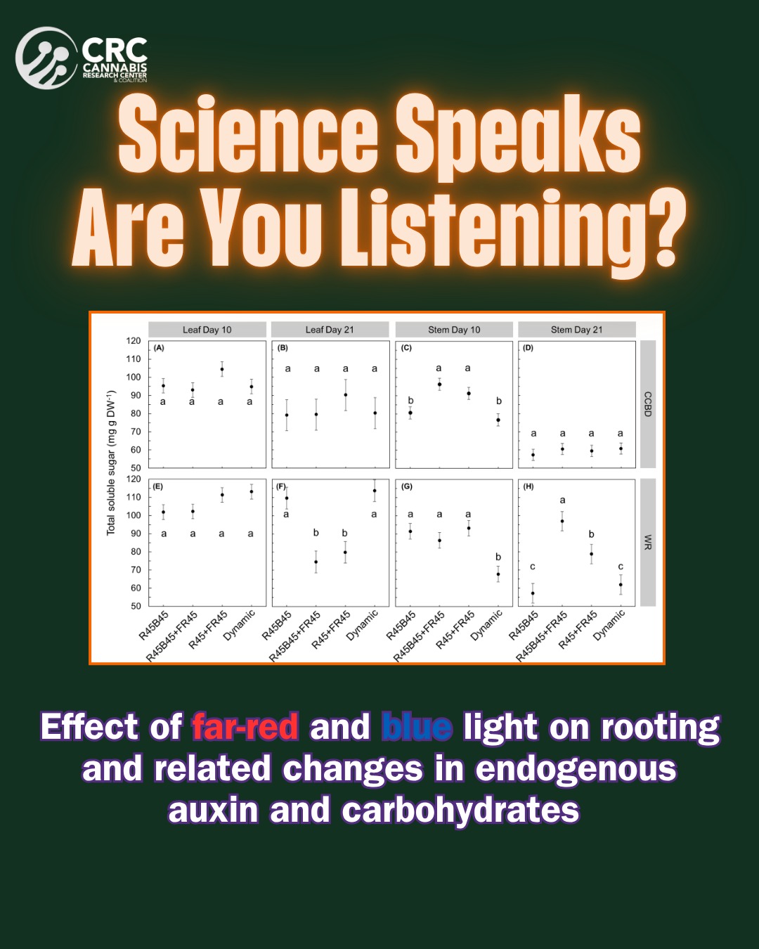 Want Better Rooting on Your Cannabis Cuttings?
Science says: it's all about the light. 💡
Study shows that adding far-red light, especially during the first 7 days can boost root success in cannabis cuttings 🪴 without causing tall, lanky plants. 🙌
✅ Far-red light = better rooting
❌ Blue light = no real effect
💡 Timing matters = just the beginning phase is enough
⚠️ No need to rely on synthetic rooting hormones!
Whether you're a home grower or running a commercial facility, tweaking your spectrum could make all the difference.
🧪 Study by Wannida Sae-Tang, Ep Heuvelink, Wouter Kohlen, Eleni Argyri, Céline Nicole & Leo Marcelis.
🔗 Link in bio to read the full study.
#CannabisPropagation #HomeGrowers #CommercialGrowers #CannabisCuttings #FarRedLight #CannabisScience #RootingSuccess