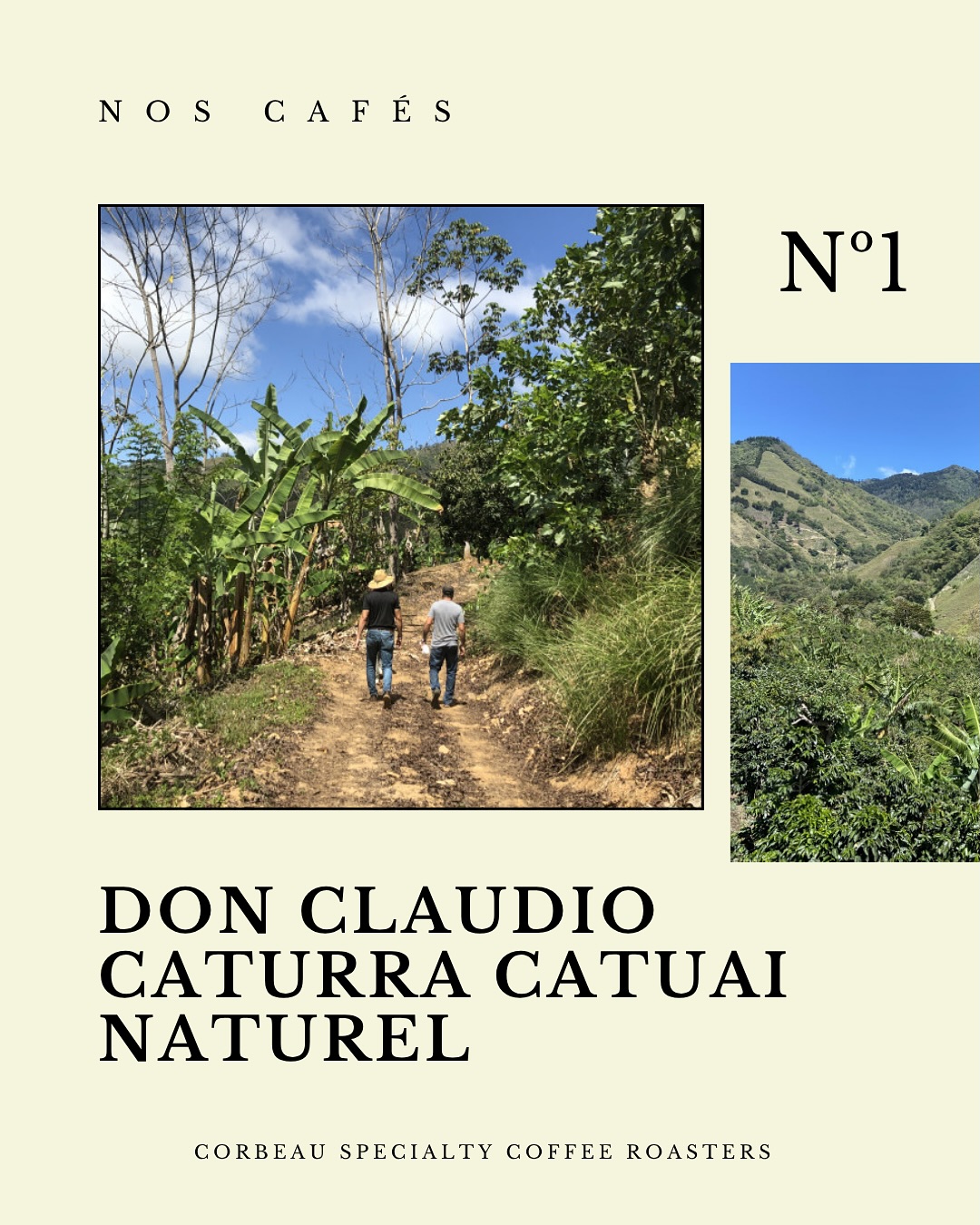 Don Claudio - Costa Rica
Disponible en grains au café.
#specialtycoffee #costaricacoffee #barista #roasters #coffeeshop #montpellierfood