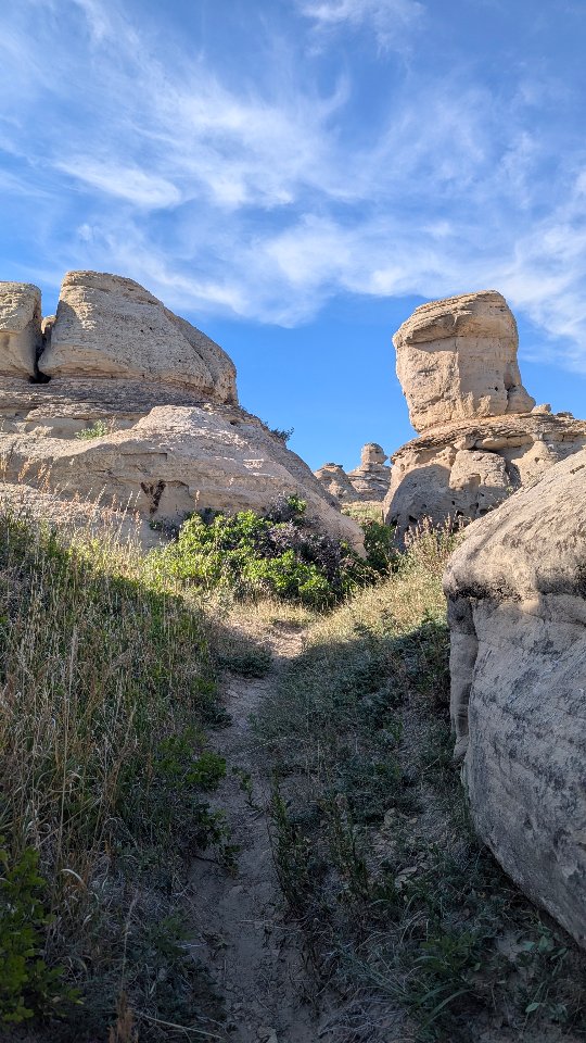 Hunting for a good composition 📸☺️
Photography