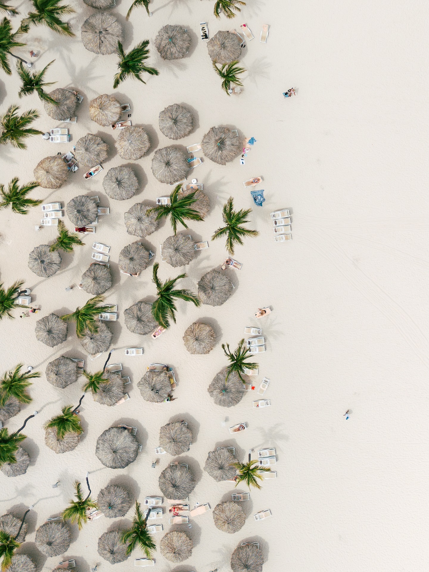 Recently I’ve been loving the addition of drone photography into my packages. Drone photography provides such a unique perspective on your wedding day and it’s so fun discovering new perspectives at impressive heights. Latest shots from this Aruba destination wedding with J&D! 🏝️ 🌊
.
.
.
Planning @taylored.events_
Content Creation @contentbyjm
.
.
.
#destinationweddingplanner #destinationwedding #destinationweddingphotographers #aruba #arubaweddingphotographer #arubaweddingplanner #riuaruba #drone #dronephotography #ocean #summer #beachwedding #arubawedding #tropicalwedding #weddinginspiration #landscapephotographer #birdseyeview #droneweddingphotography #stylemepretty #editorialweddingphotography #candidweddingphotography #documentaryweddingphotography