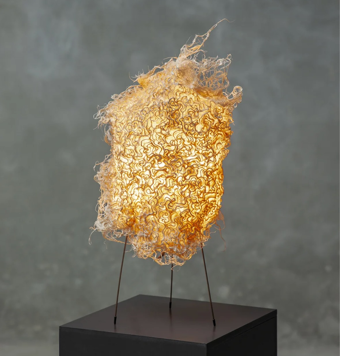 Zena Holloway @rootfull manipulates plant roots to make them to grow into intricate, lace-like textile arrangements and structures.
Merging craft with biology. The growth process of the plant’s root system is controlled to create both natural and man-made patterns. Made using soil, wheat grass seeds, light and intricately carved wax templates. The roots follow these patterns and from there the work grows itself in just 2 weeks.
She creates a range of lighting, wall hangings and clothing (bio-couture) using this beautiful bio fabricated material.
#naturalfibres #artistmaker #sustainablematerials #organicmaterials #biodesign #biomaterials #fibreart #materiality #materials #materialdesign #luxuryinteriors #interiordesign #materialities