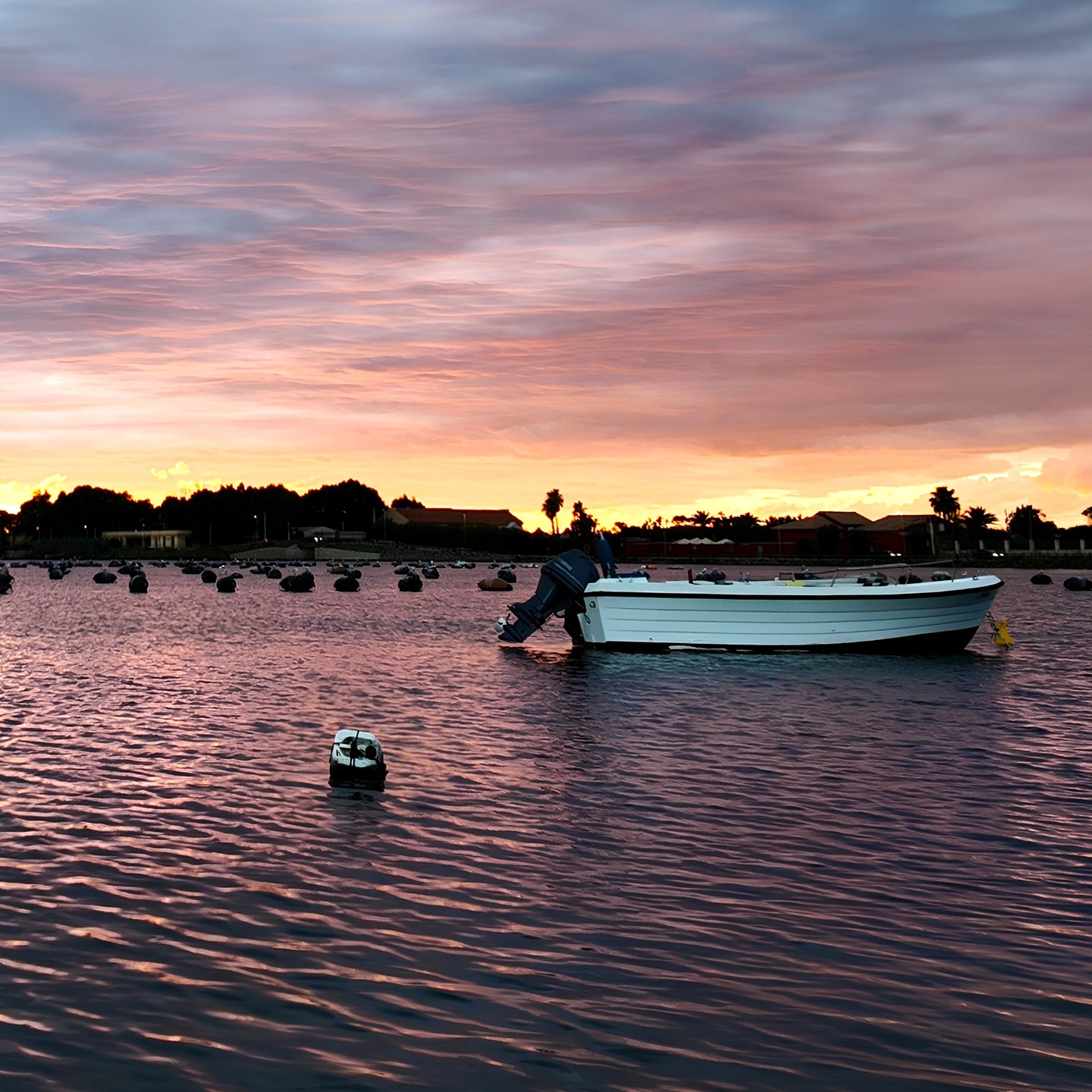You don’t need to know this place to feel calm.
Just stay a little longer.
.
.
.
📸 © @VisitCapoPeloro | Exclusive use – ask before sharing
.
.
.
#CapoPeloro #VisitCapoPeloro #TorreFaro #LagoPiccolo #PantanoPiccolo #TorreFaroLake #Messina #VisitMessina #Sicily #VisitSicily #MediterraneanLife #SicilianLandscape