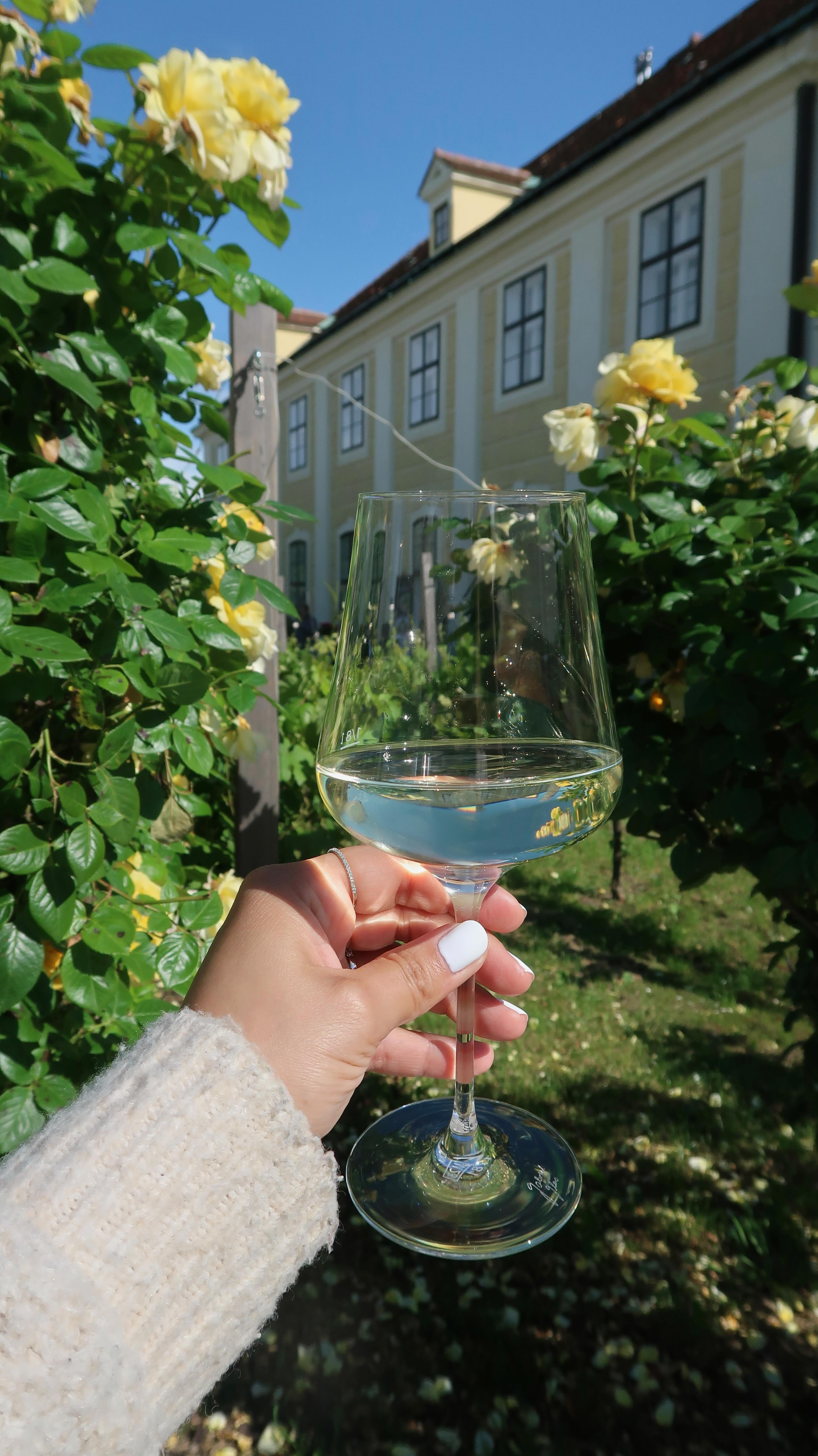 ✨ Happy Women’s Day! ✨
Wir wünschen allen Frauen heute (und an jedem anderen Tag) nur das Beste – Liebe, Erfolg und natürlich ein gut gefülltes Weinglas! 🍷😉
Egal, ob Frauenabend, schwieriger Tag oder einfach nur Lust auf Wein – wir sind für euch da! 🥰🍷🍇
#SchlossSchönbrunn #Vienna #VisitVienna #VisitSchlossSchönbrunn #Joseph2 #Restaurant #Weihnachten #RestaurantWien #FoodGuideVienna #Vienna #FoodVienna #Wien