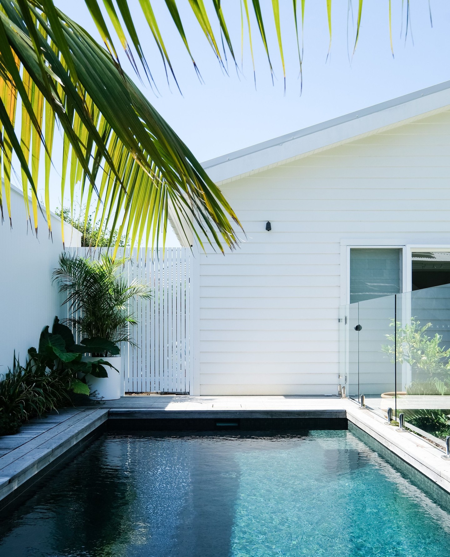 This stunning Cronulla pool backs on to a home office making working from home feel like a holiday.
We shot this job for Pinnacle Pools and also wrote the award submission that saw them pick up the 2023 SPASA Silver award for a concrete pool under $60k. (Incidentally it came second behind the Gold SPASA Award submission that we wrote for Pinnacle Pools for their other Cronulla project Audrey!
💦 @pinnacle_pools
✏️🌿 @sitedesign_studios
