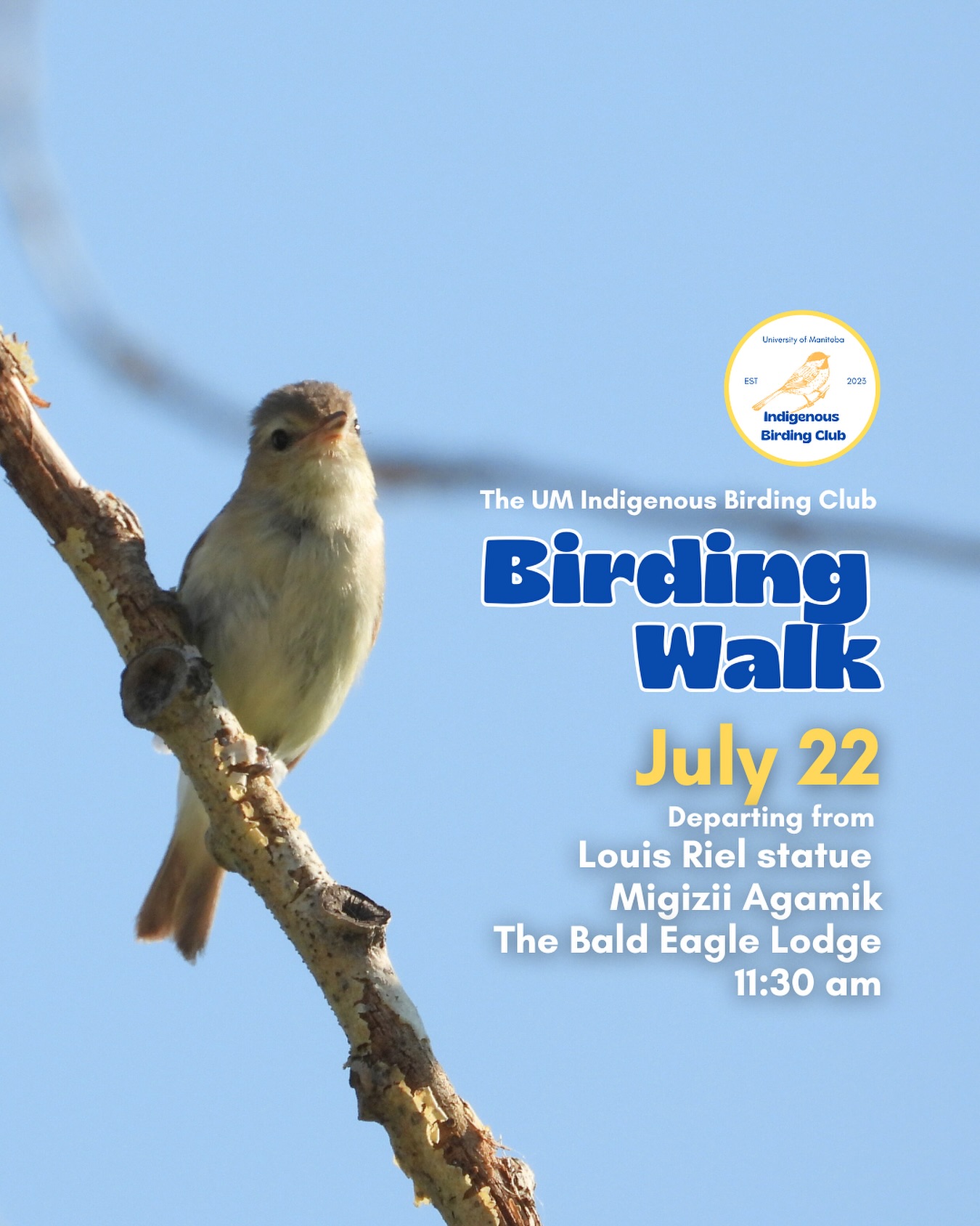 Update: July 22, 9:52 am, the walk is cancelled because of the rain. ☔️
On July 22, join us for a relaxed, 1.5-hour birding walk that begins at Migizii Agamik – The Bald Eagle Lodge. We’ll gather at 11:20 am by the Louis Riel statue, with the walk starting promptly at 11:30 am. The walk will take us to King’s Park, or another nearby location, at a leisurely pace, allowing us to enjoy the sights along a mix of pavement, grass, dirt, and gravel paths. The terrain is mostly flat, with just a few gentle slopes.
These walks are open to BIPOC (Black, Indigenous, and People of Colour) folks and allies who share our belief that birding is for everyone, regardless of experience. Whether you’re new to birding or a seasoned enthusiast, we welcome you to join. Just dress for the weather and be sure to bring sunscreen and water. If you don’t have your own binoculars, we have some available to borrow.
Our walks are an opportunity to connect with nature, build community, and learn from one another in a relaxed and supportive environment. Feel free to participate at your own pace — there’s no need to stay with the group the entire time, and you’re welcome to come and go as you please.
Accessibility Information:
The walk covers a variety of paths, including pavement, grass, dirt, and gravel, with mostly flat terrain and a few gentle slopes.
Washrooms are available approximately halfway along the walk.
If you need assistance or have specific accessibility requirements, please let us know in advance so we can do our best to accommodate you.
Parking:
Please note there is NO free parking on campus M-F from 8:30 AM to 4:30 PM. Parking is available for a fee in the Parkade and at metered spaces for a fee.
We look forward to seeing you there!
Photo: @justinleerasmussen
@umindigenous @umanitoba @umstudent @umisacouncil @um_metis @musaumanitoba