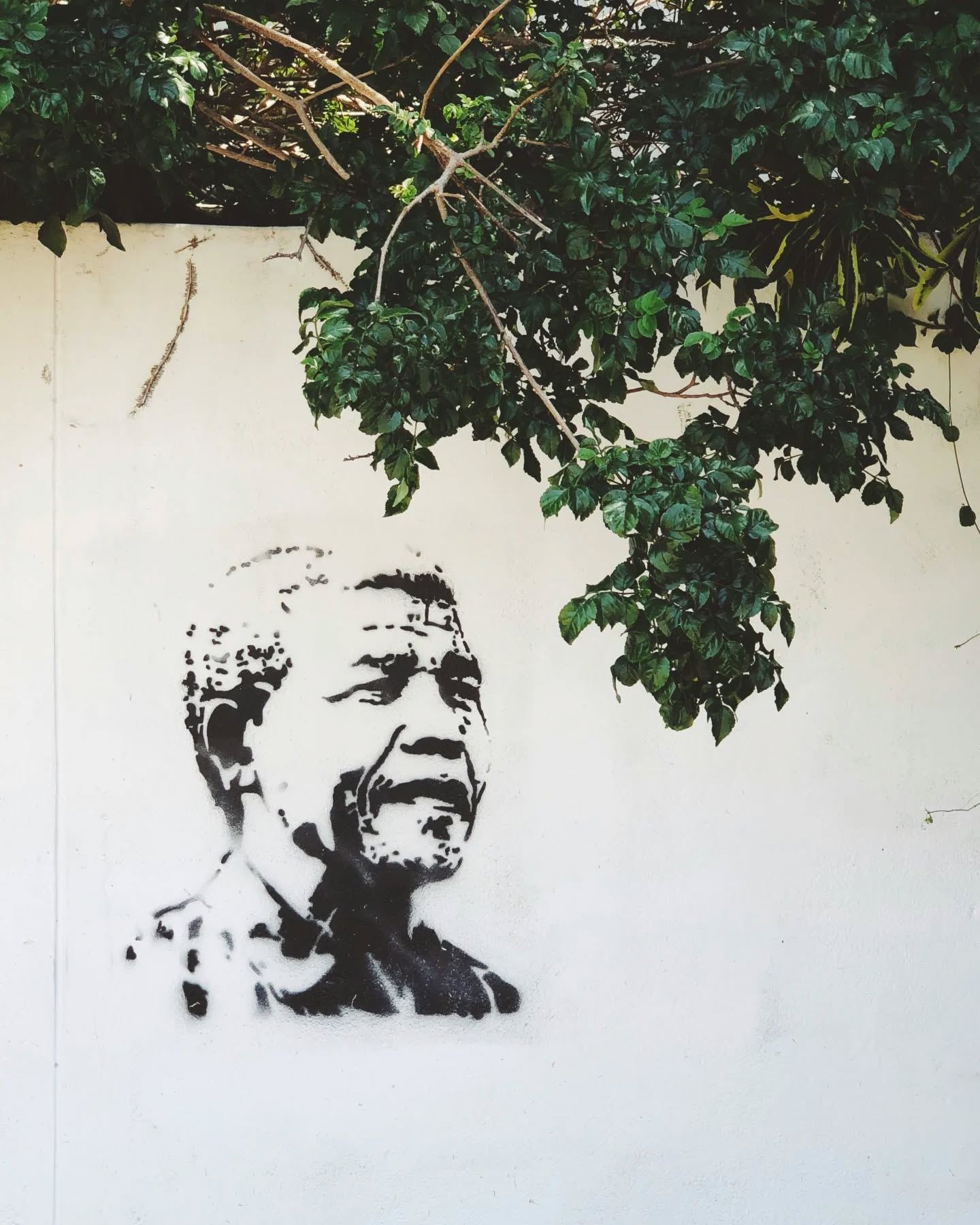 🌍 Mandela Day – maak 67 minuten een verschil ✨
18 juli is Mandela Day.
Vandaag herdenken we niet alleen een groot leider, maar vieren we ook zijn nalatenschap. Nelson Mandela geloofde dat “what counts in life is not the mere fact that we have lived. It is what difference we have made to the lives of others.” 💛
Bij Ja! Afrika Travel inspireren we reizigers om in contact te komen met de mensen, de natuur en de verhalen van Afrika. Op Mandela Day staan we stil bij hoe reizen ook een positieve impact kan hebben. Groot of klein – elke goede daad telt.
Wat doe jij vandaag voor een ander? 💬👇
#MandelaDay #67Minutes #JaAfrikaTravel #ReisMetBetekenis #NelsonMandela #LeaveALegacy #ZuidAfrika #Southafricanculture #Geschiedenis #zegookja