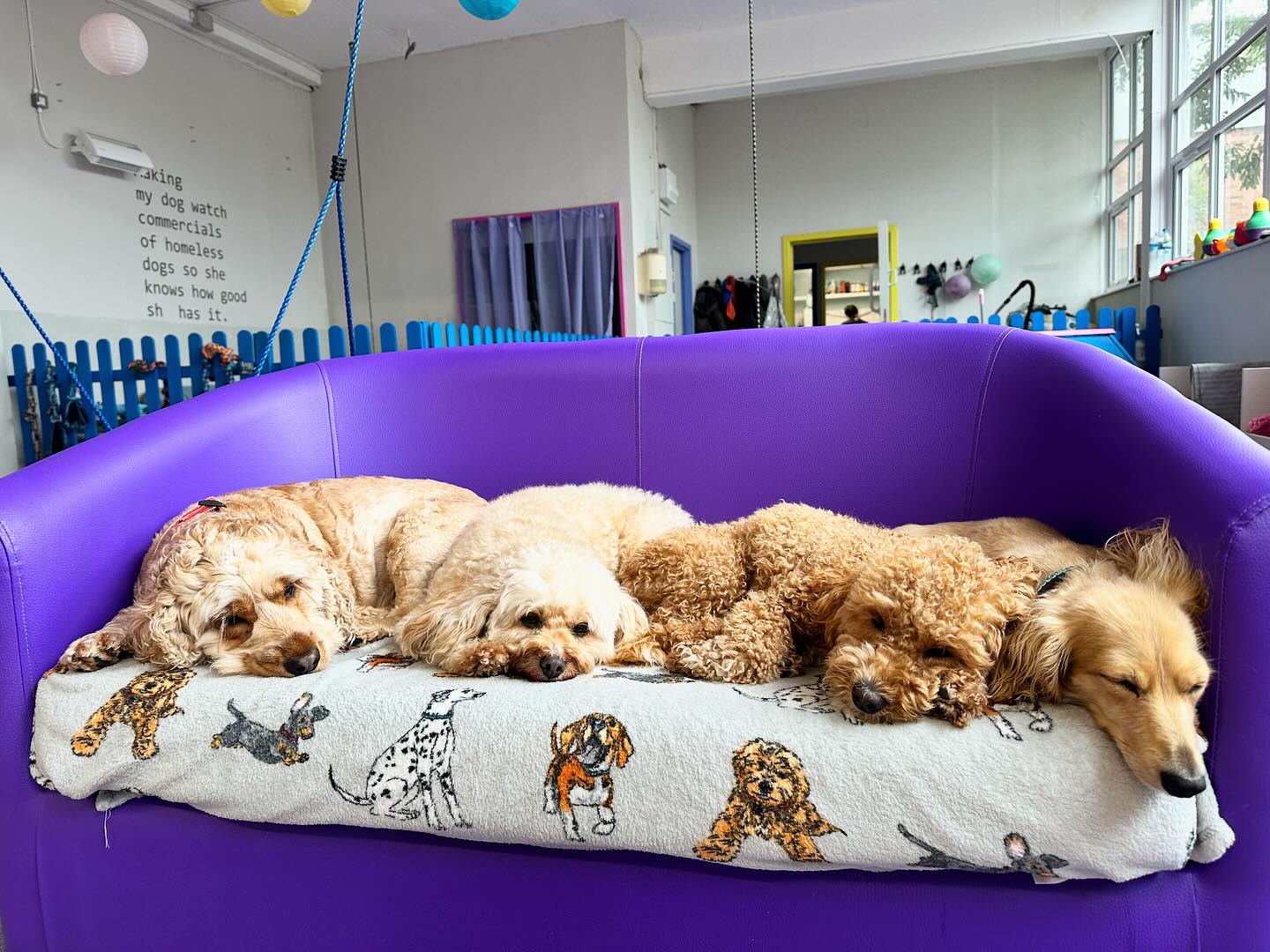 You know you have the bestest of friends when….. 💤😴 @link_and_lilo @bradleym6 @_bethanybradley @claireemaher