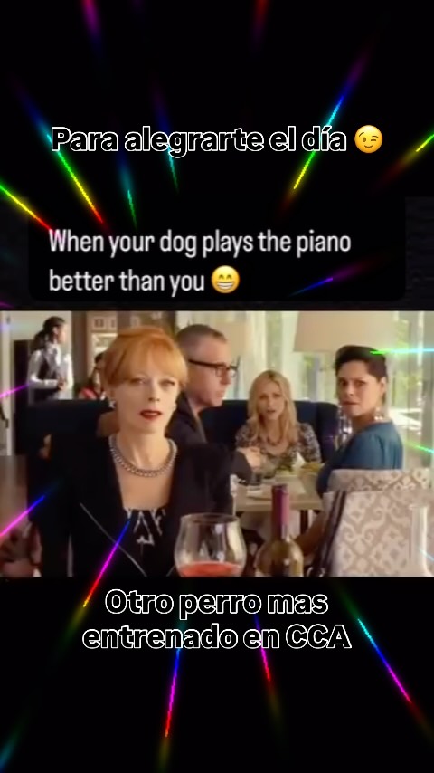 Para reírnos un ratito!! #humor #dogtraining Tu perro toca algún instrumento