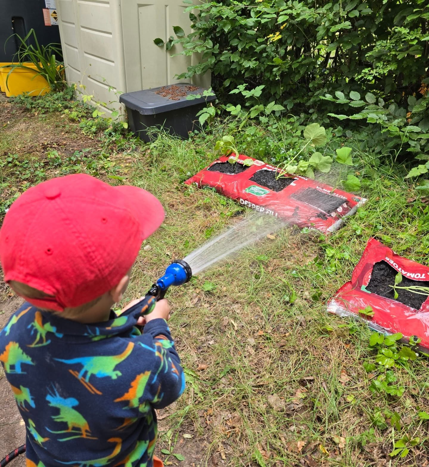 Today the children planted mini pumpkins that were kindly gifted preschool 🎃
#preschool #earlyyears #childcare #growing #gardening #outdoorlearning